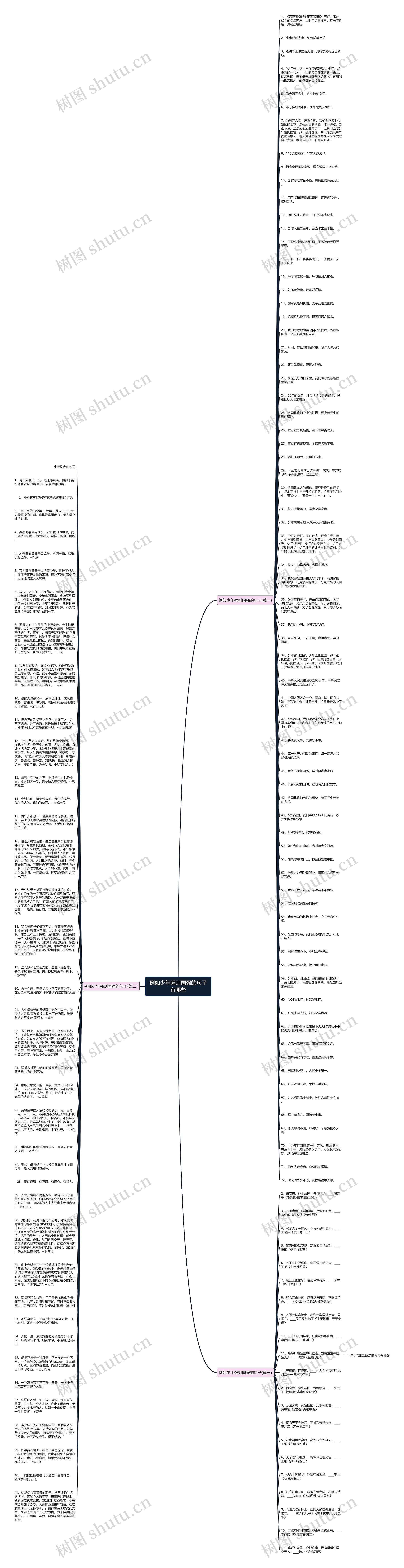 例如少年强则国强的句子有哪些思维导图
