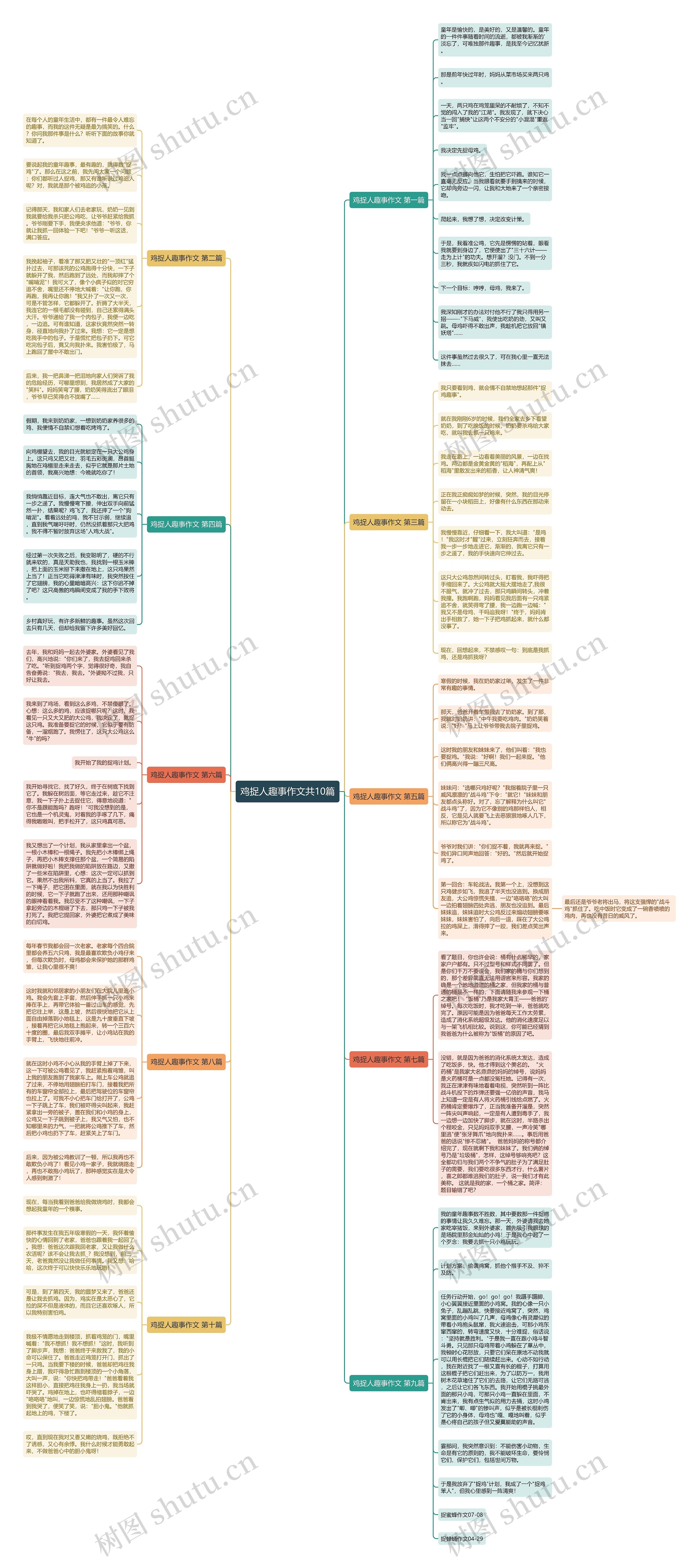 鸡捉人趣事作文共10篇思维导图