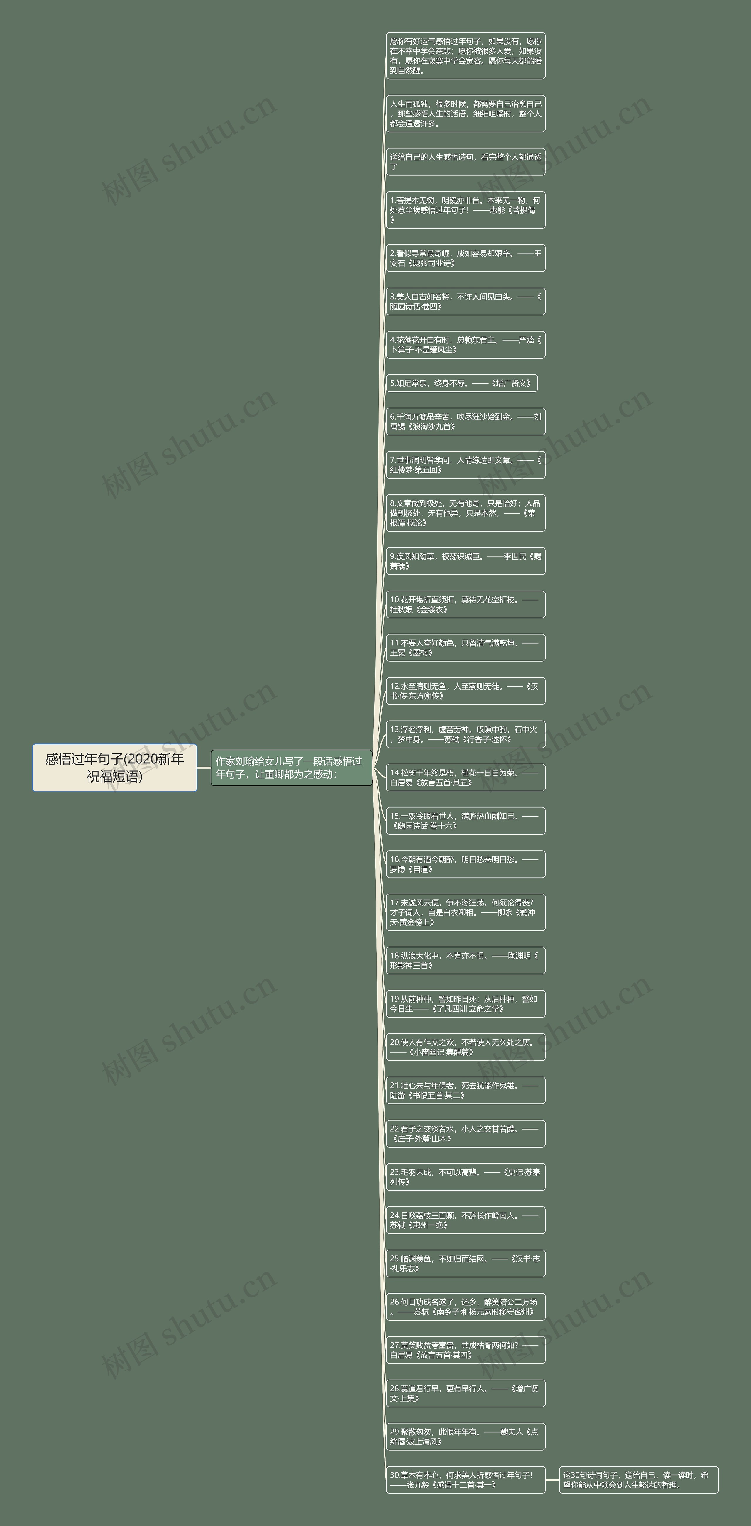 感悟过年句子(2020新年祝福短语)思维导图