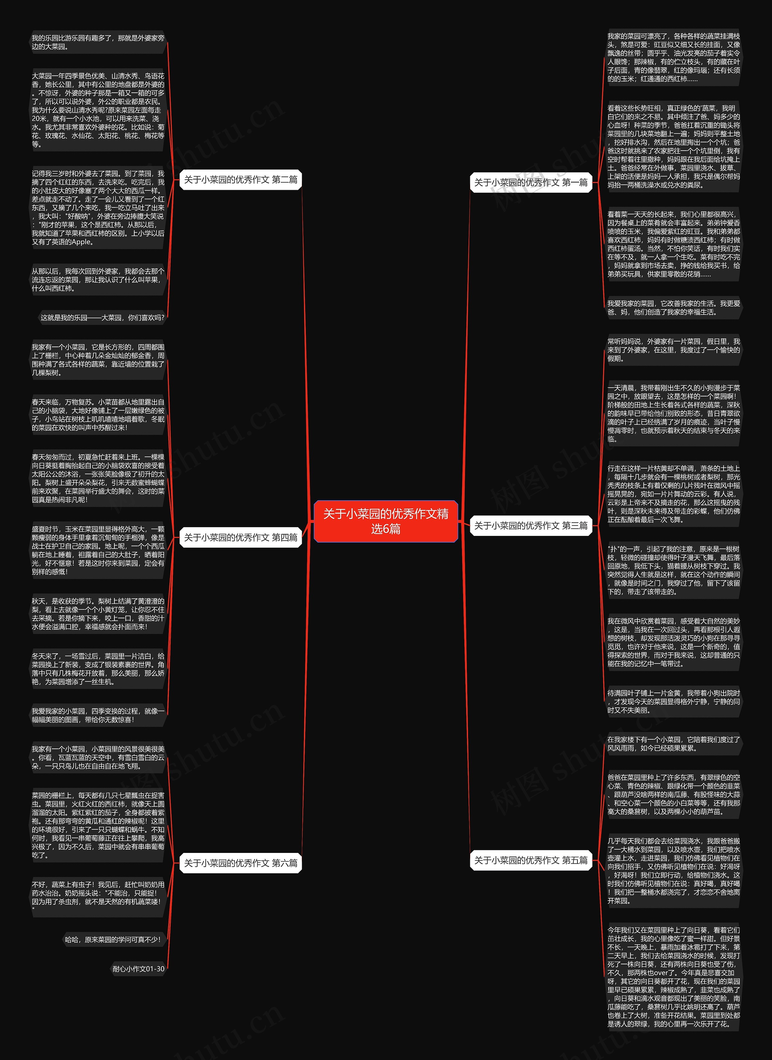 关于小菜园的优秀作文精选6篇思维导图