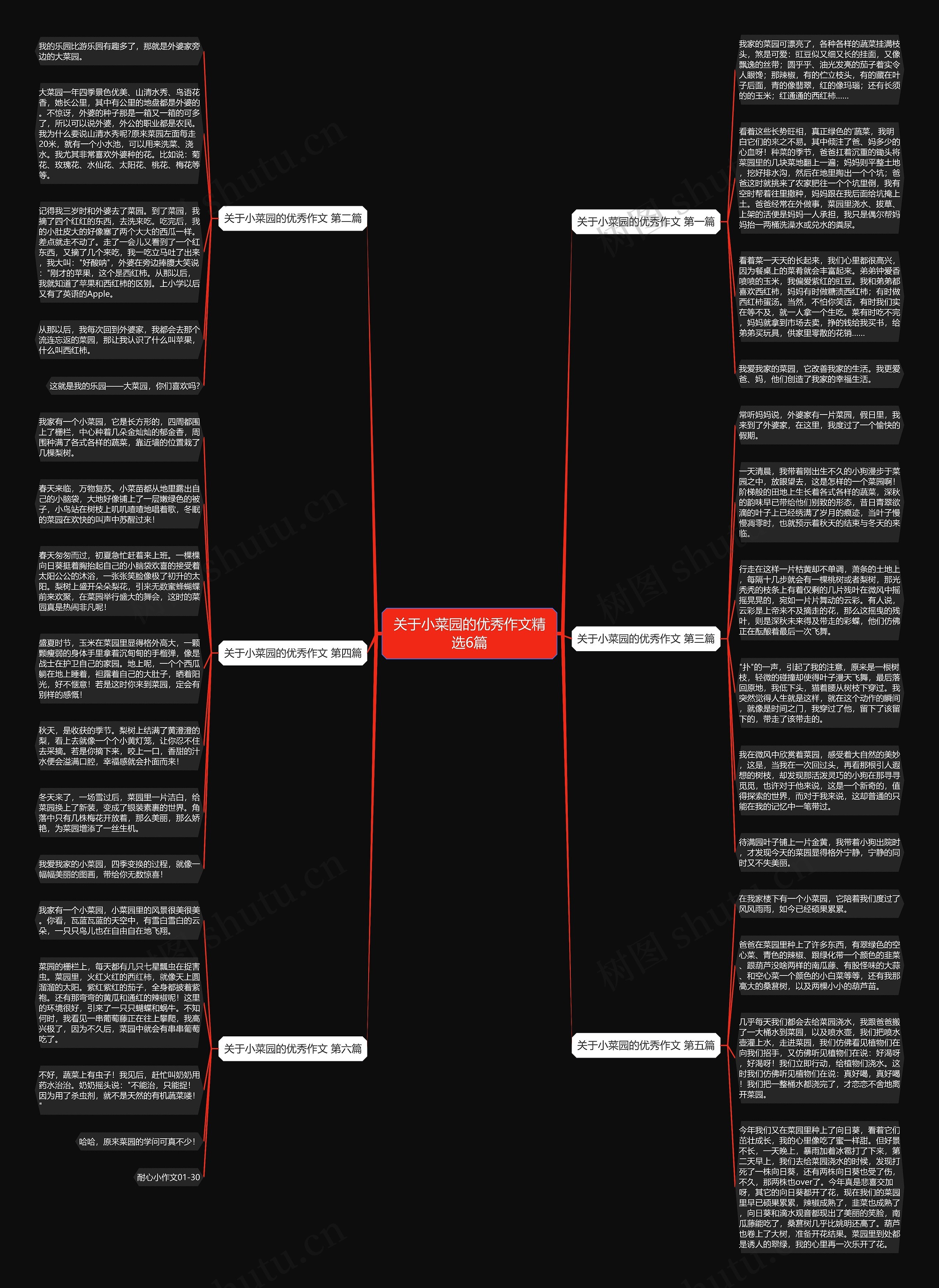 关于小菜园的优秀作文精选6篇 关于小菜园的优秀作文精选6篇