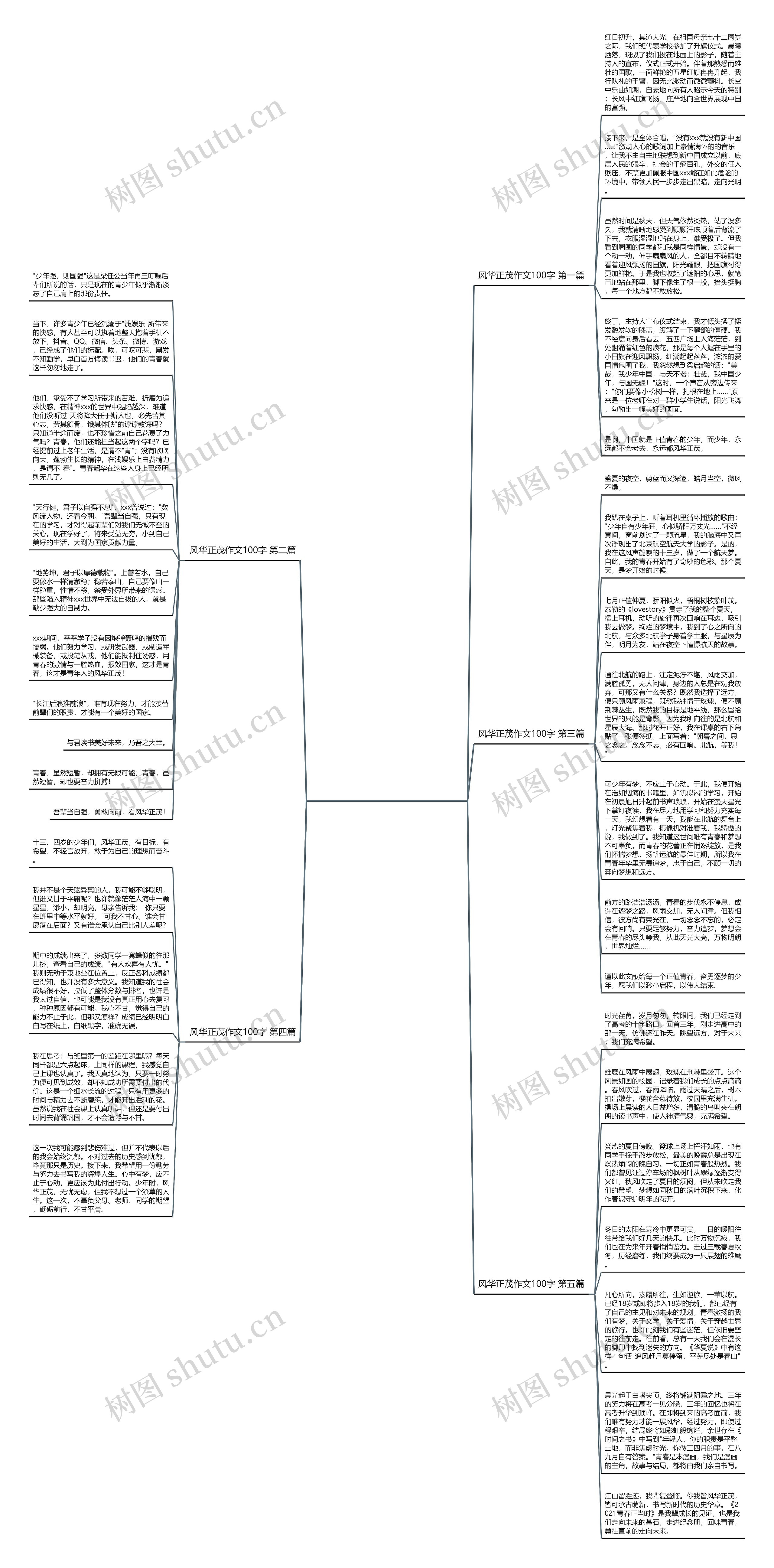 风华正茂作文100字优选5篇思维导图