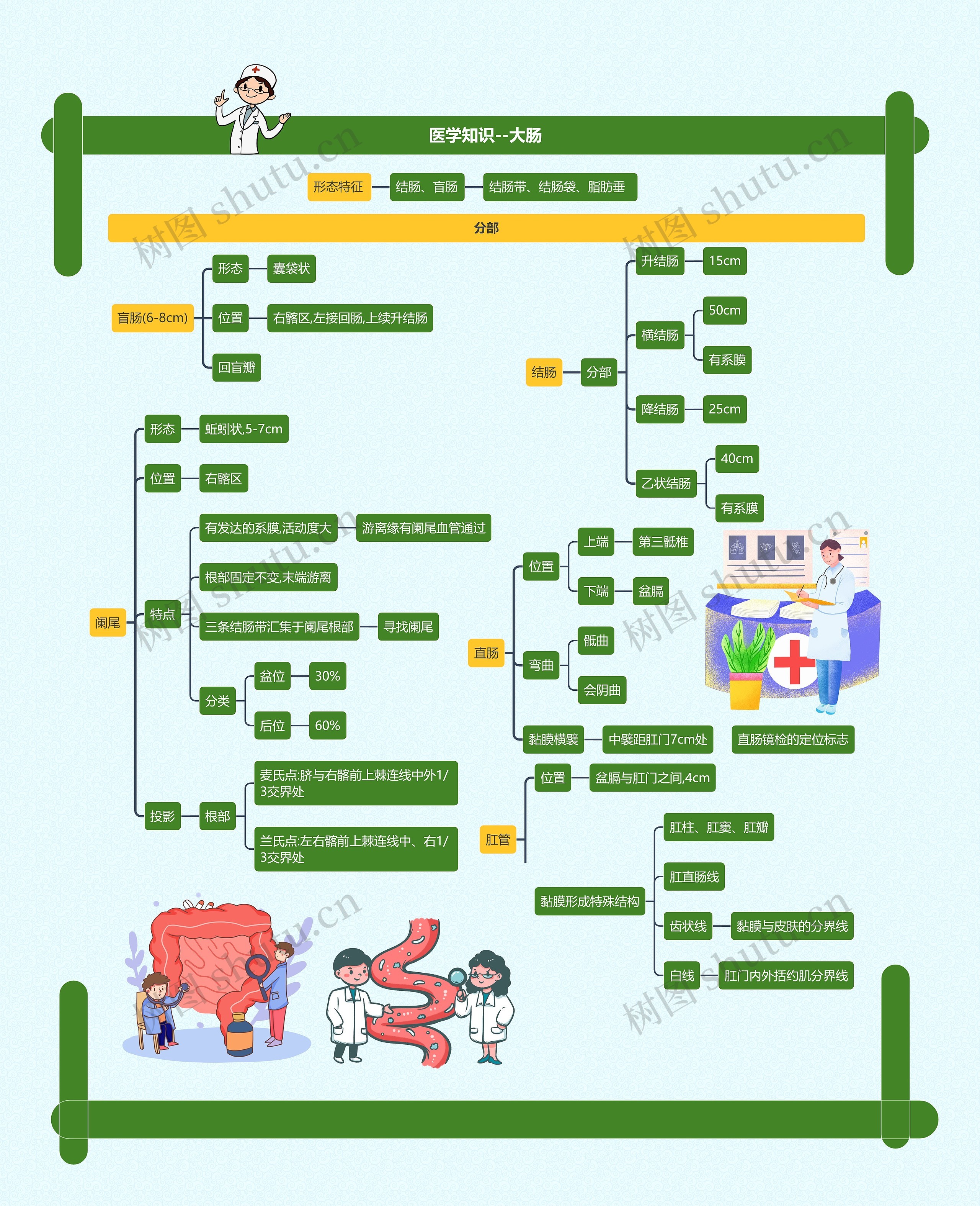 医学知识--大肠思维导图