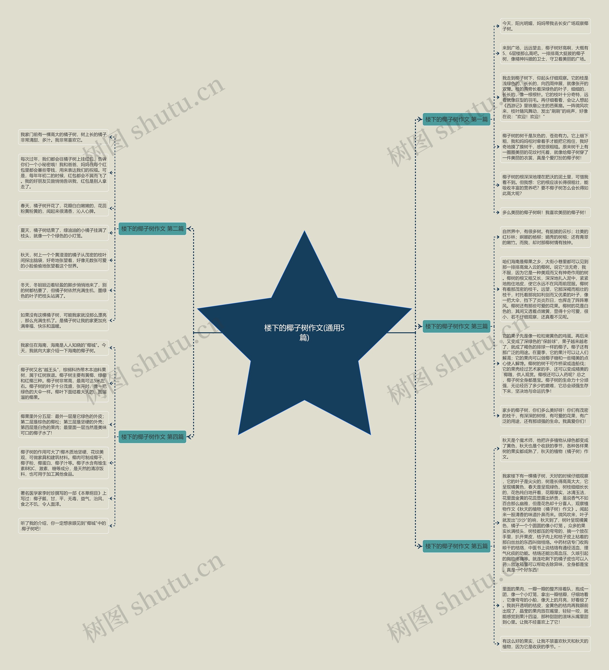 楼下的椰子树作文(通用5篇)思维导图