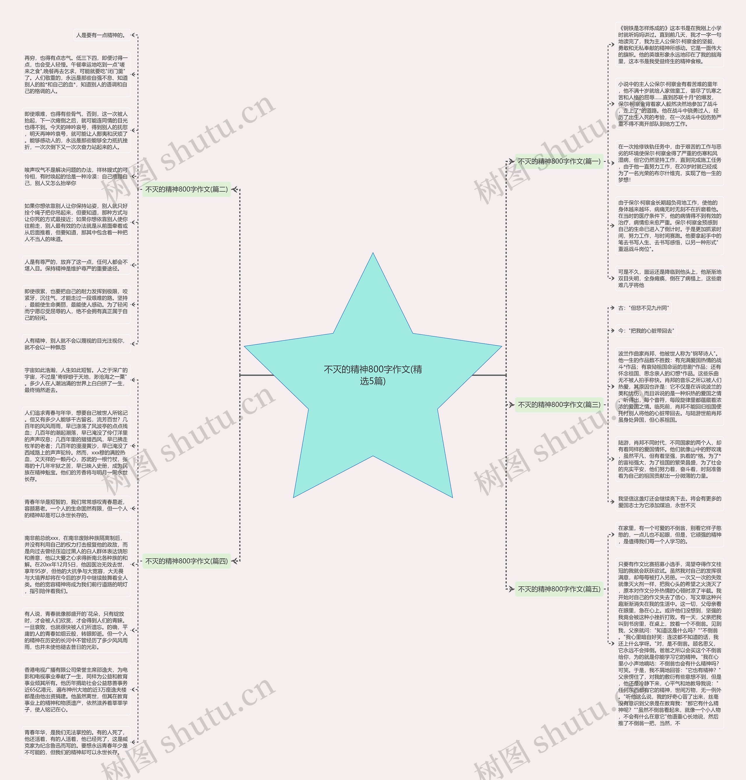 不灭的精神800字作文(精选5篇)思维导图