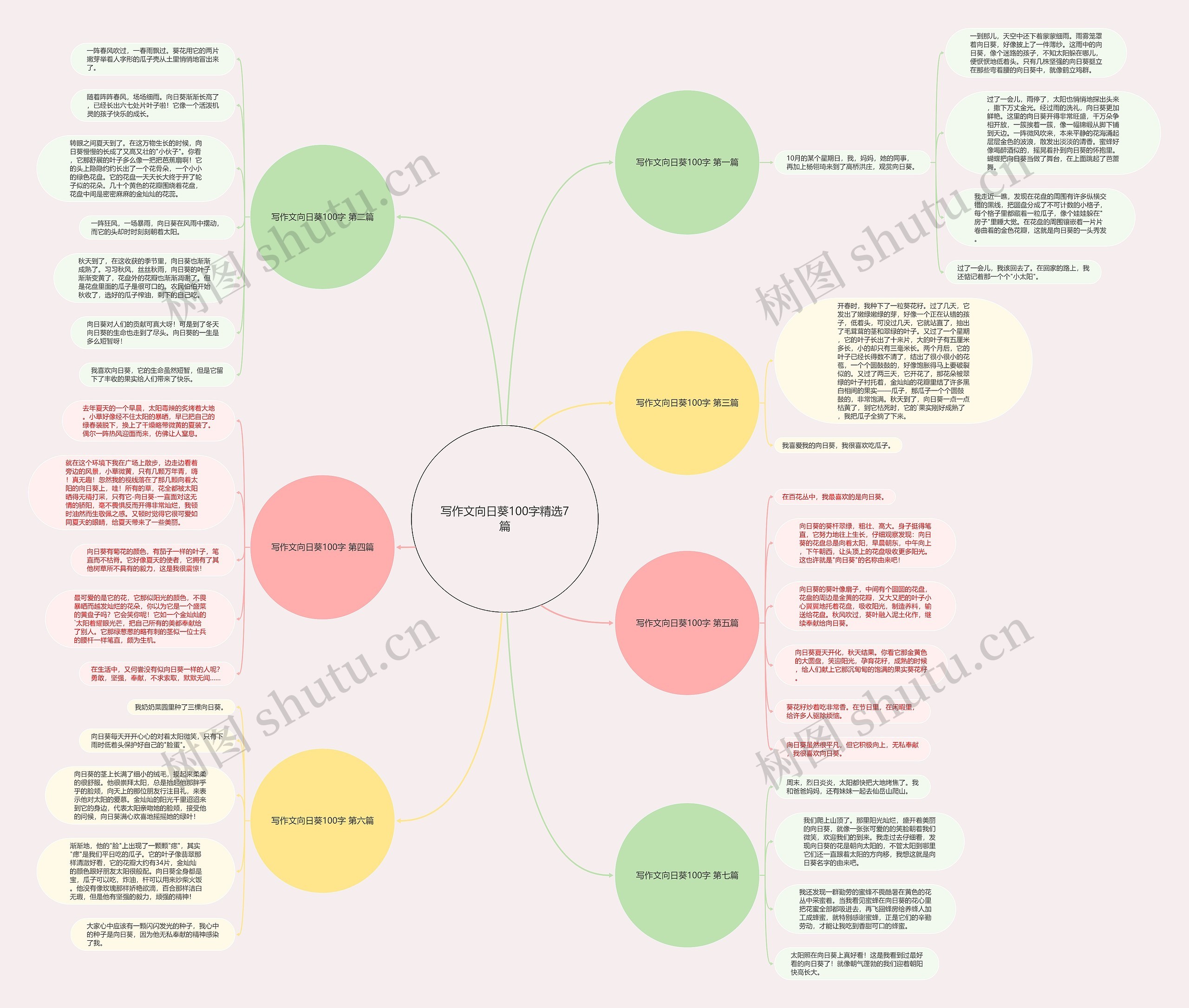 写作文向日葵100字精选7篇思维导图