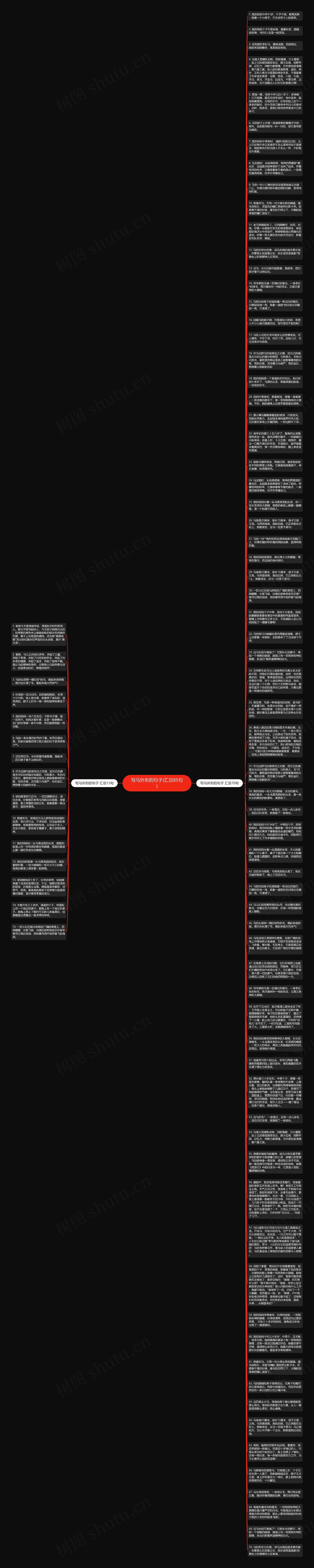 写马外形的句子(汇总85句)思维导图