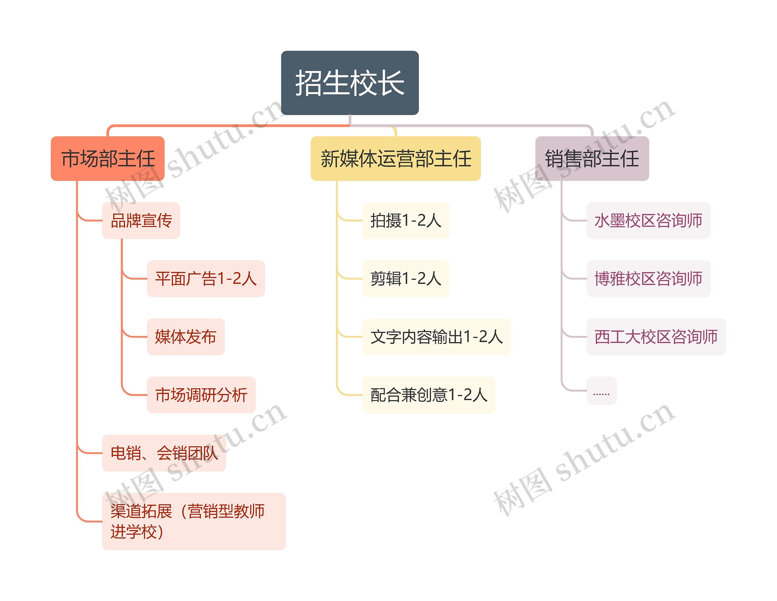 招生校长组织架构图