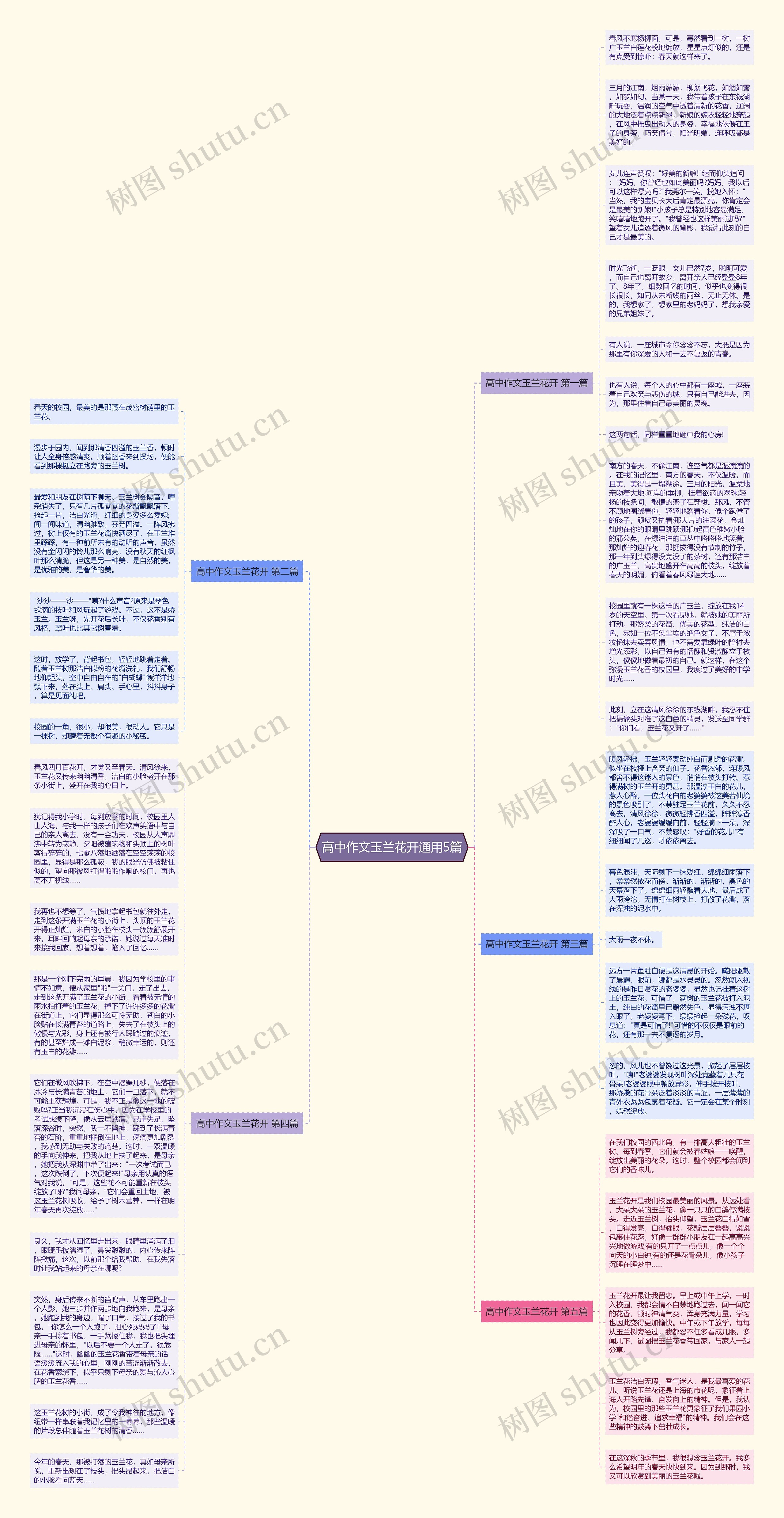 高中作文玉兰花开通用5篇思维导图