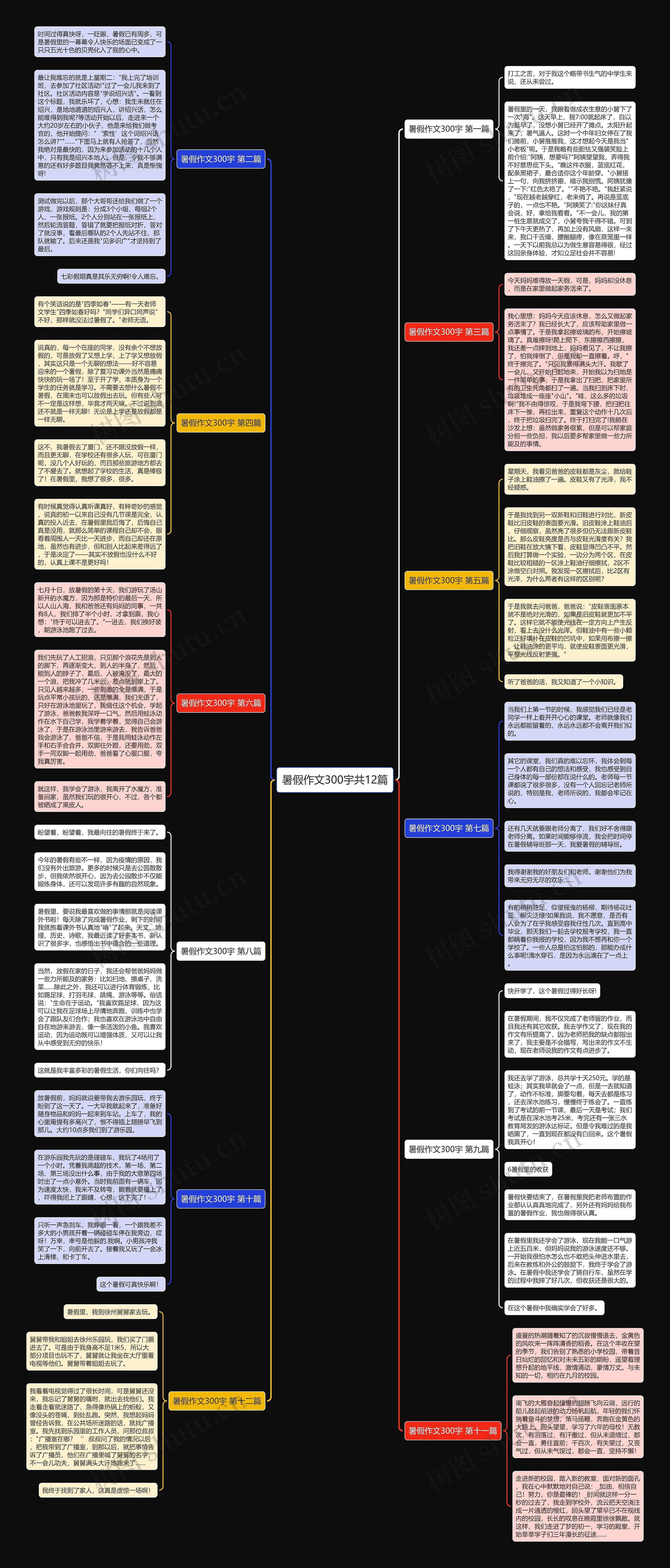 暑假作文300宇共12篇思维导图