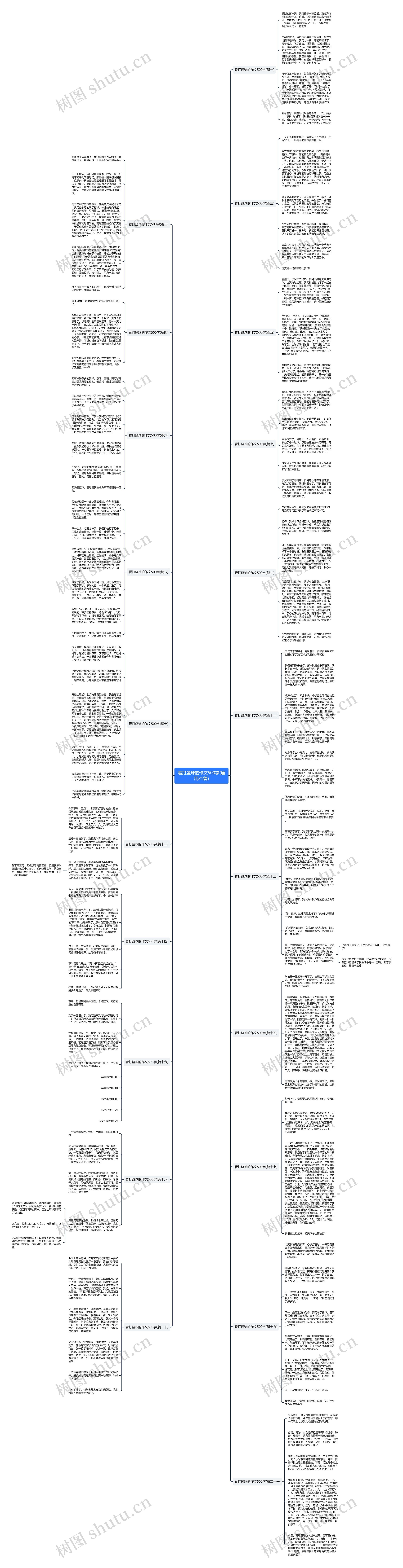 看打篮球的作文500字(通用21篇)思维导图