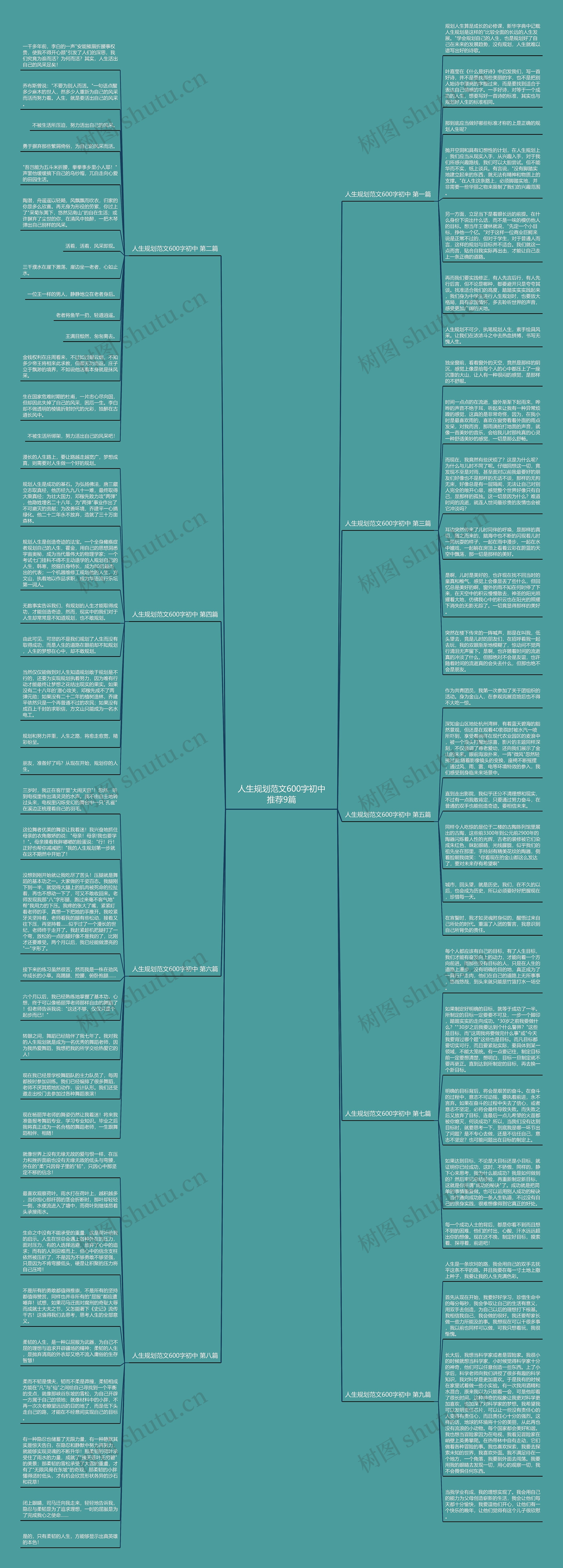 人生规划范文600字初中推荐9篇思维导图