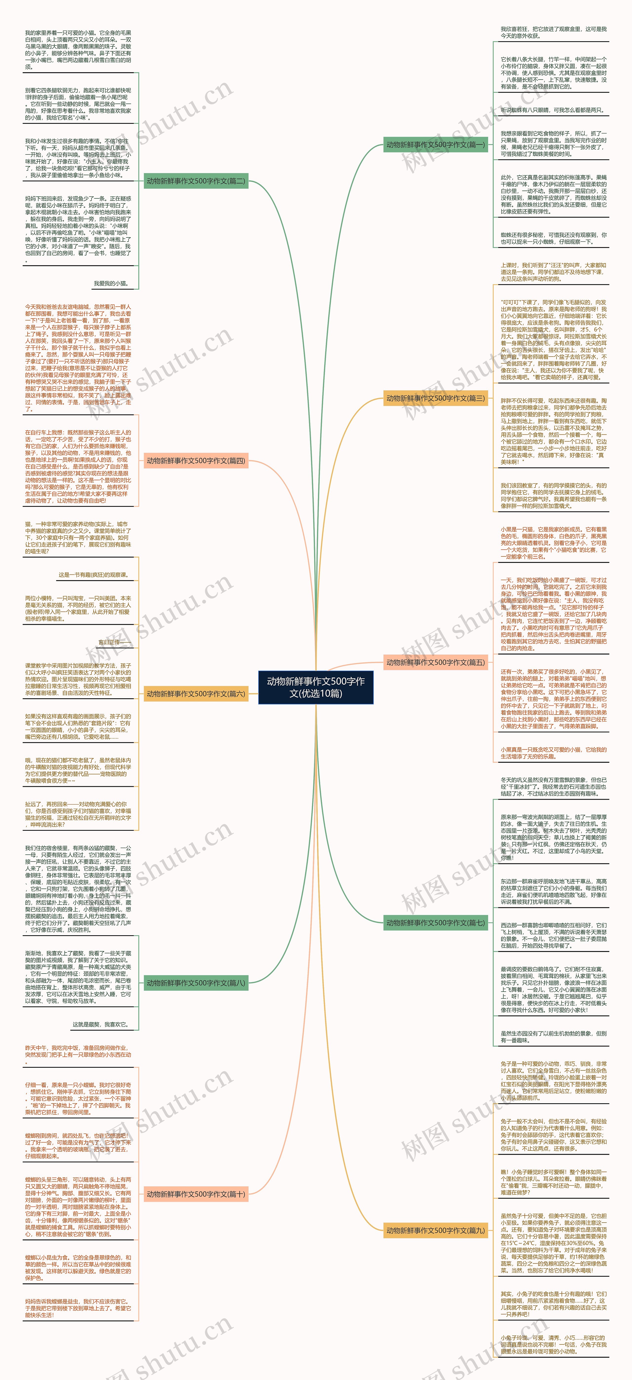 动物新鲜事作文500字作文(优选10篇)思维导图