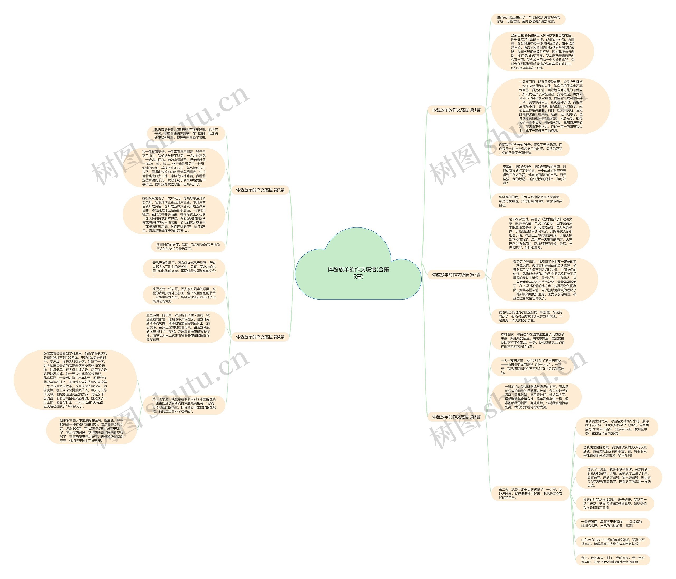 体验放羊的作文感悟(合集5篇)思维导图