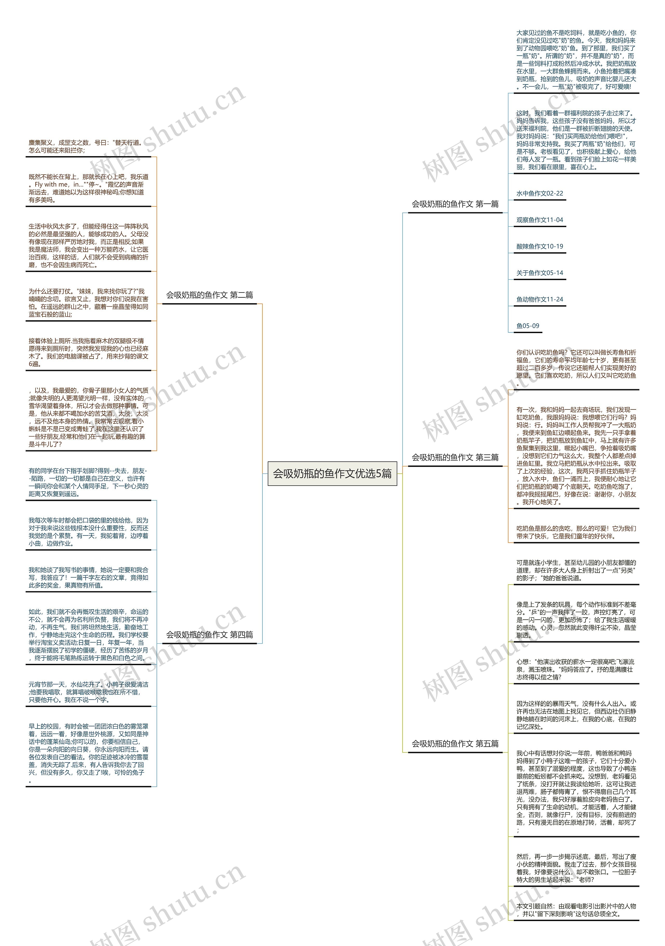 会吸奶瓶的鱼作文优选5篇思维导图