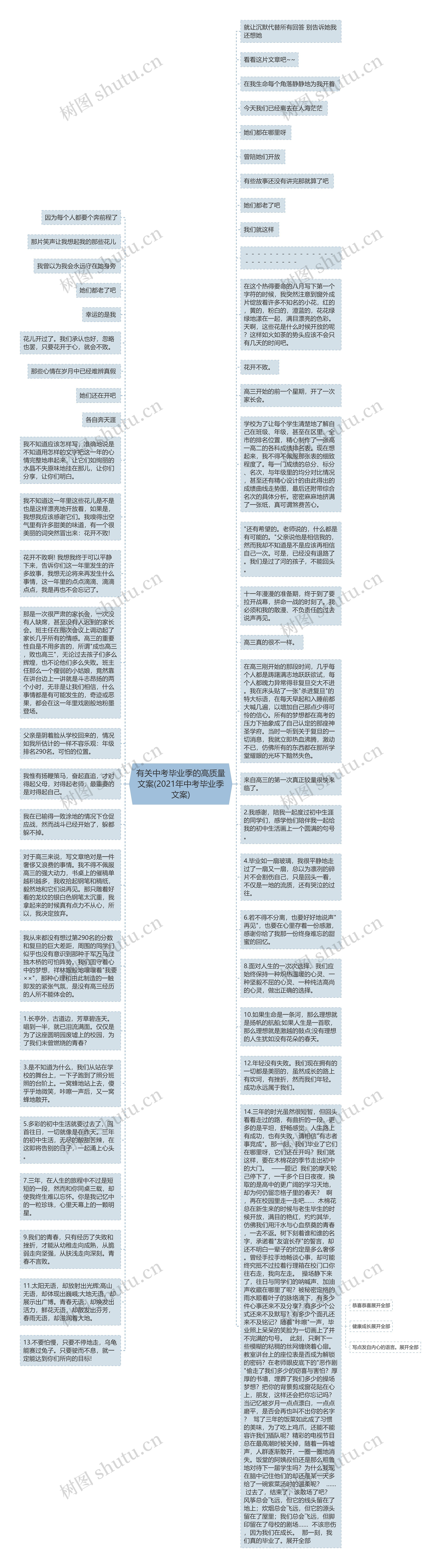 有关中考毕业季的高质量文案(2021年中考毕业季文案)思维导图