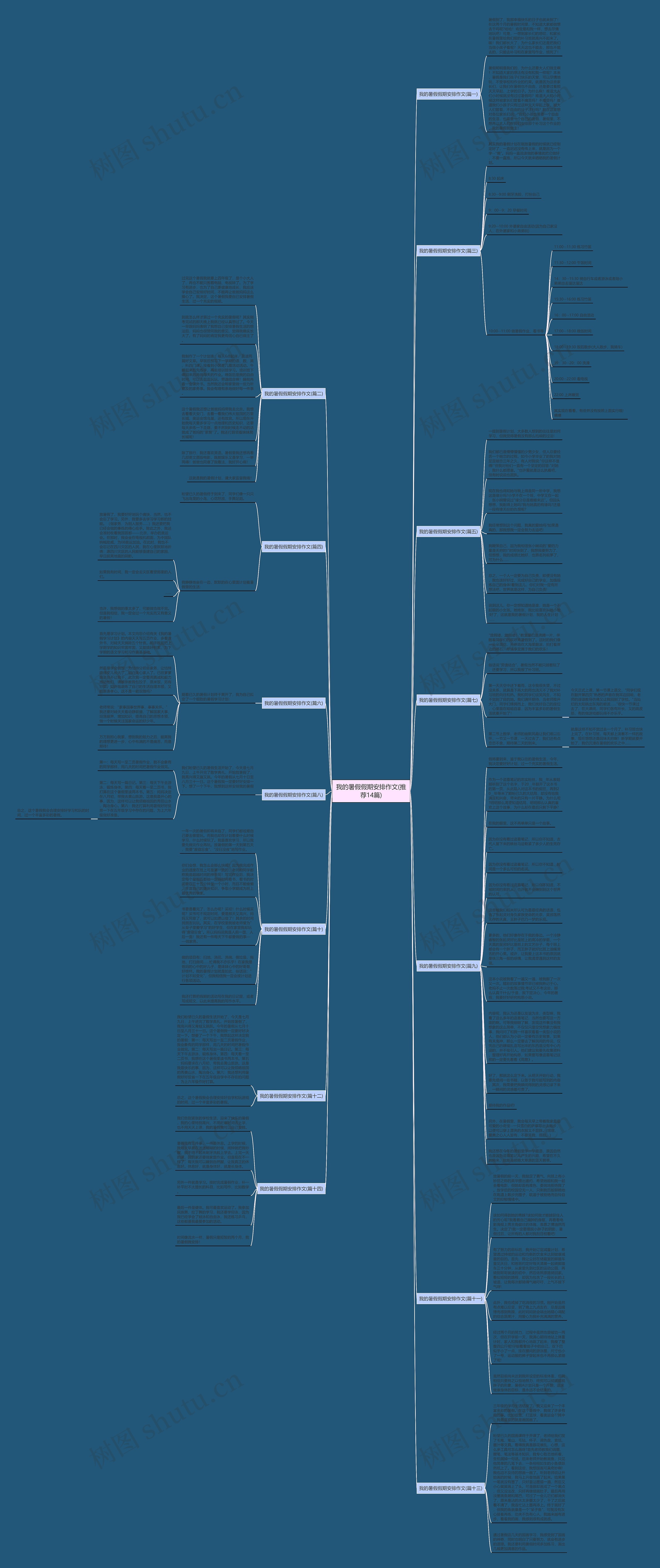 我的暑假假期安排作文(推荐14篇)思维导图