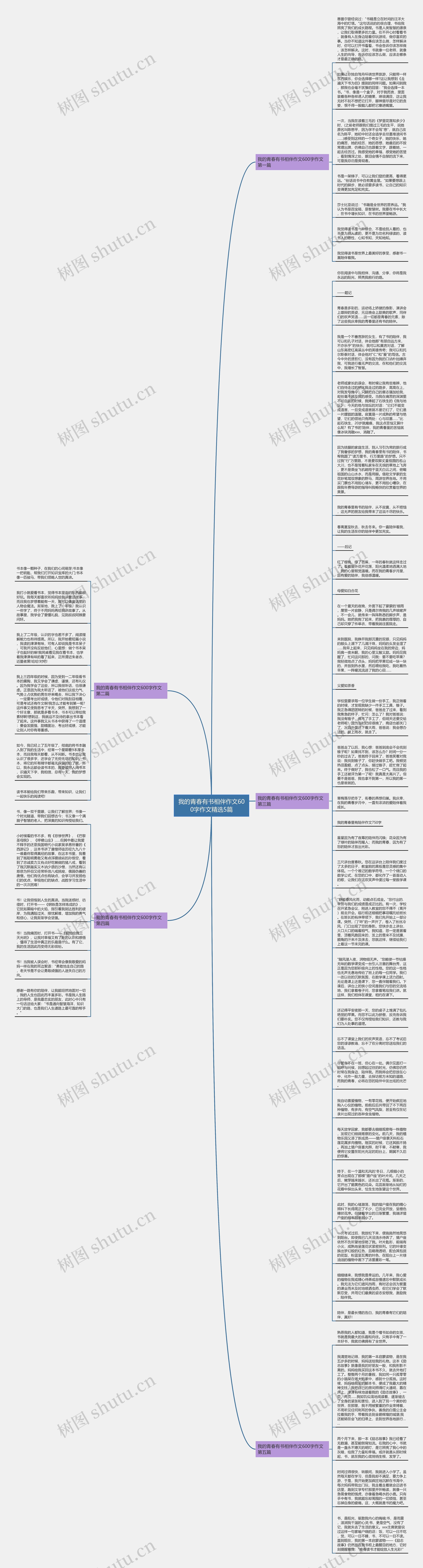 我的青春有书相伴作文600字作文精选5篇思维导图