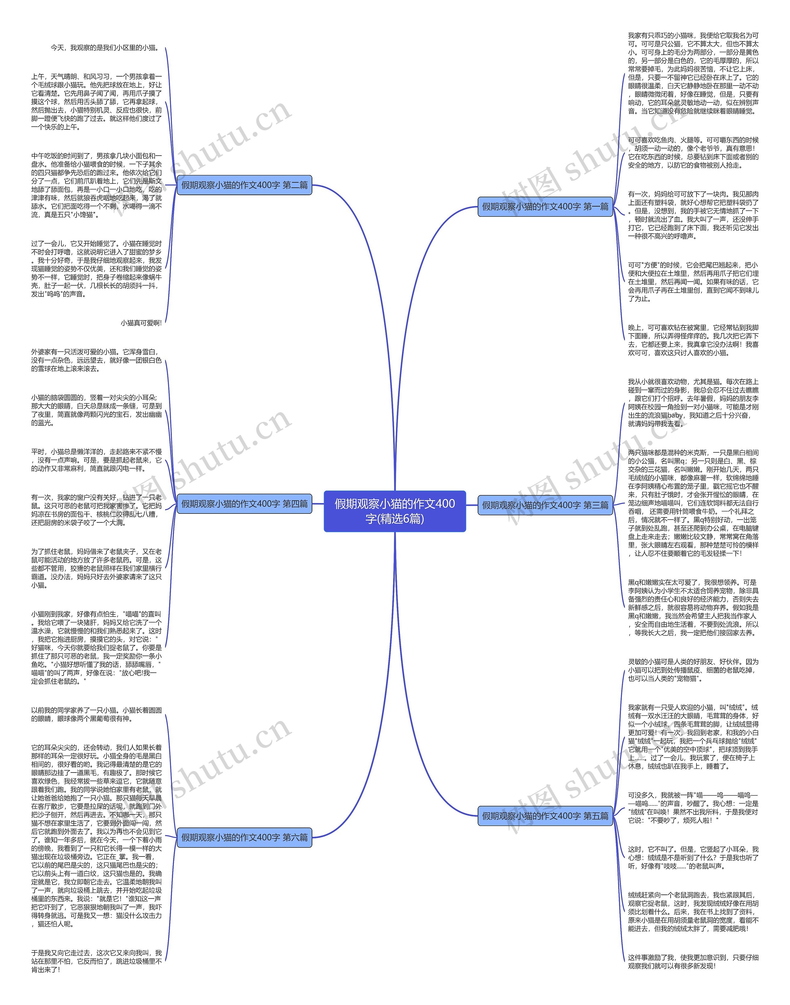 假期观察小猫的作文400字(精选6篇)思维导图