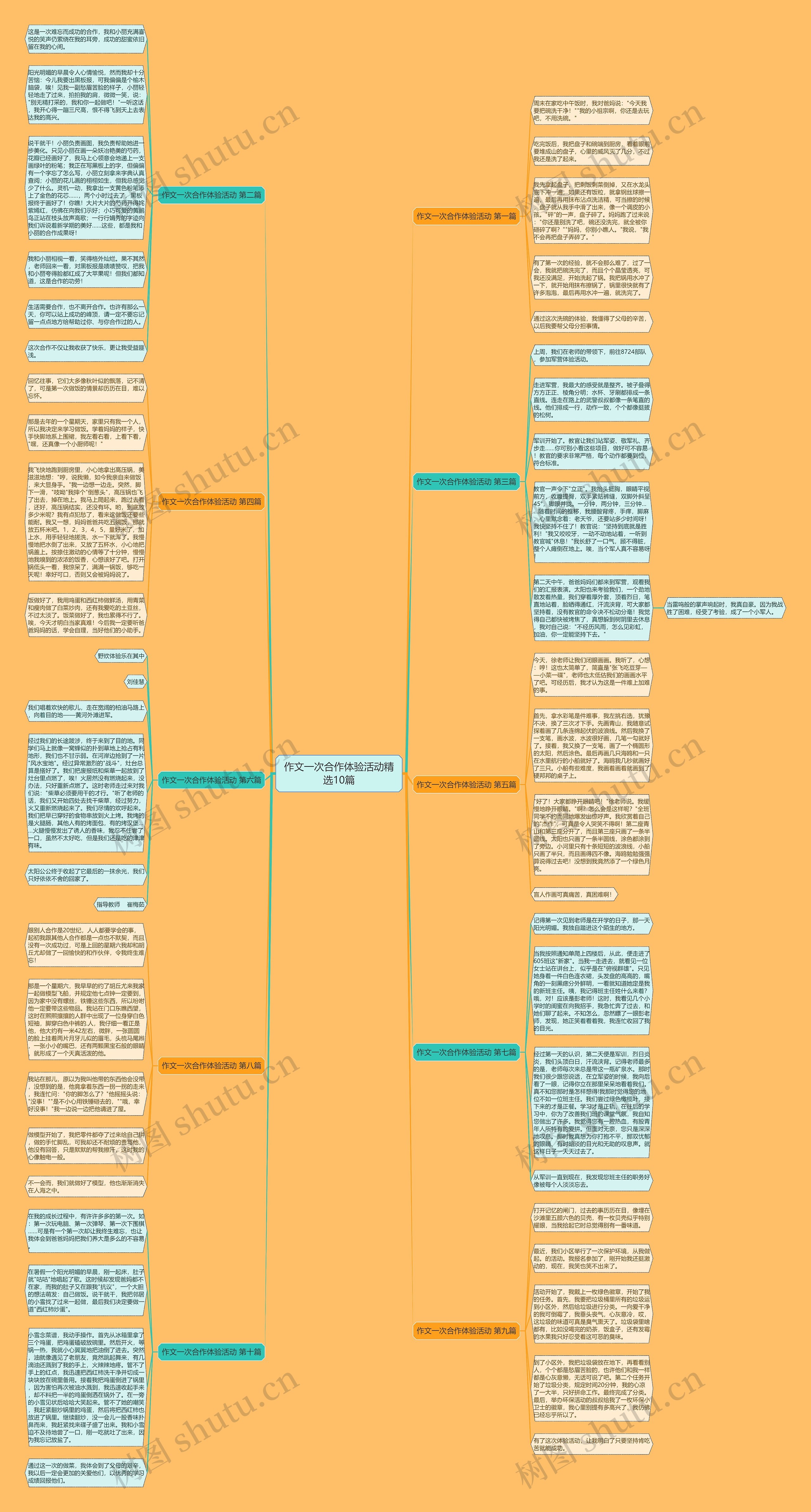 作文一次合作体验活动精选10篇思维导图