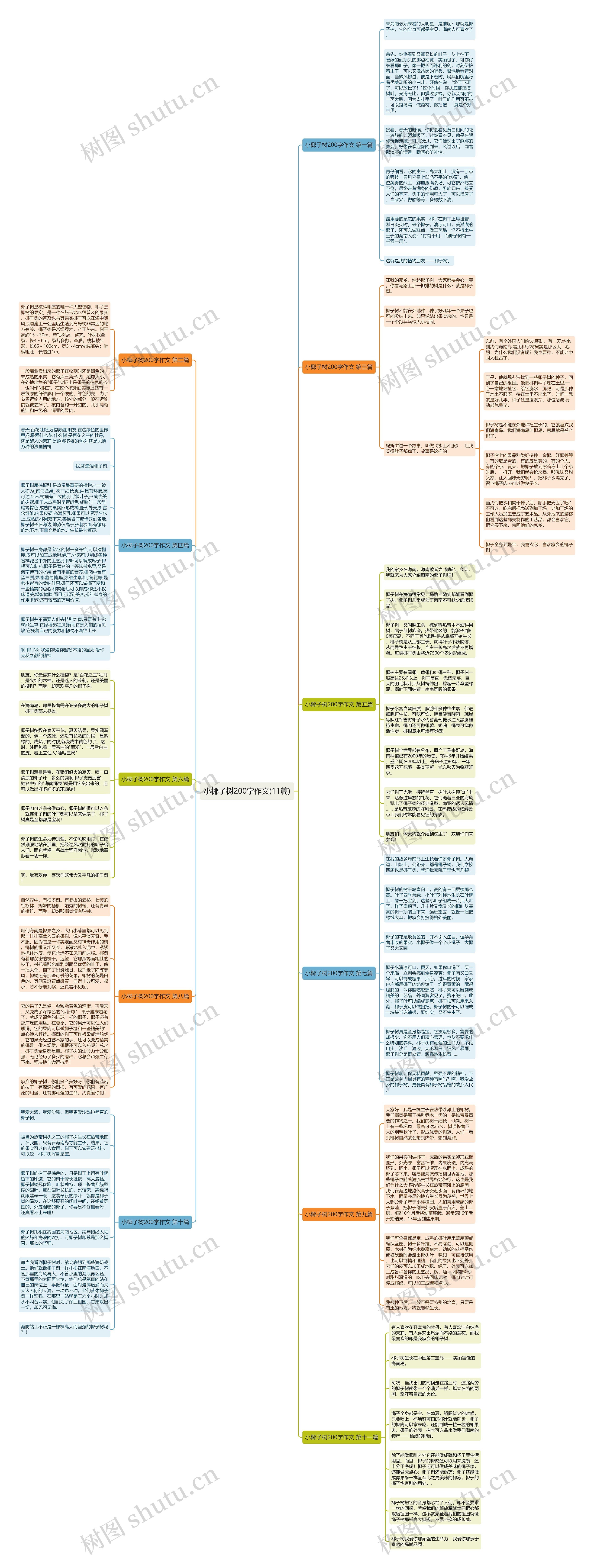 小椰子树200字作文(11篇)思维导图