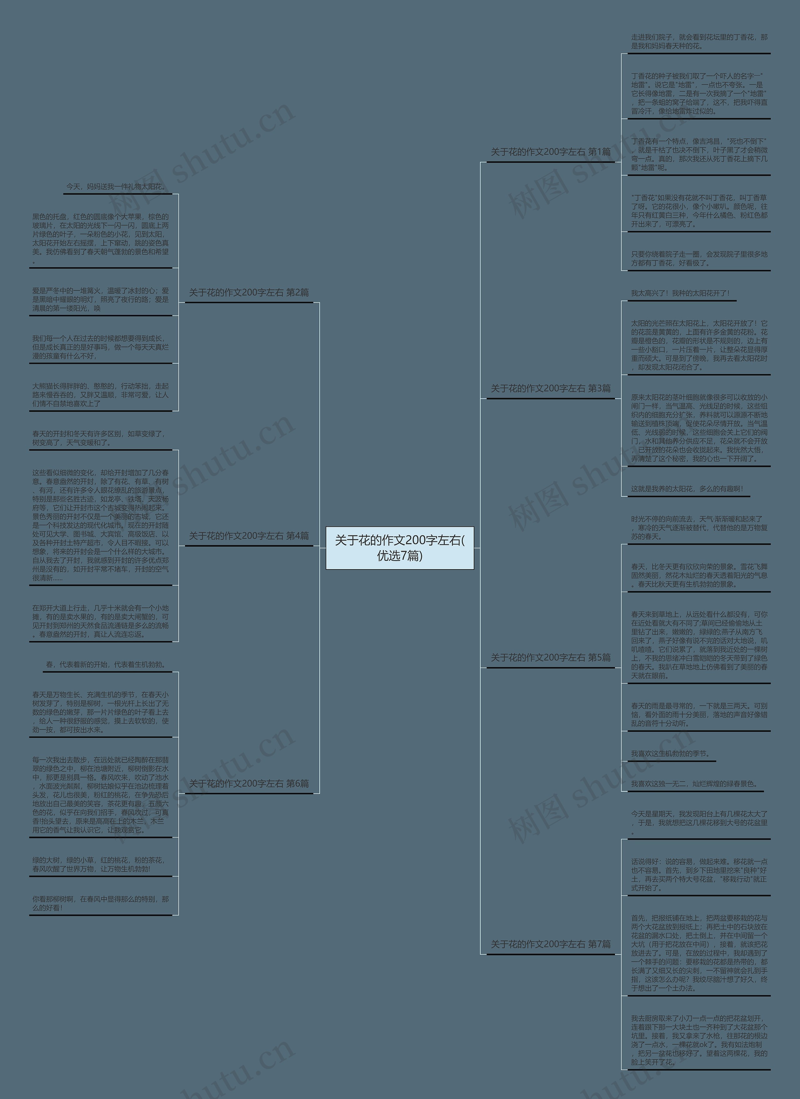 关于花的作文200字左右(优选7篇)思维导图