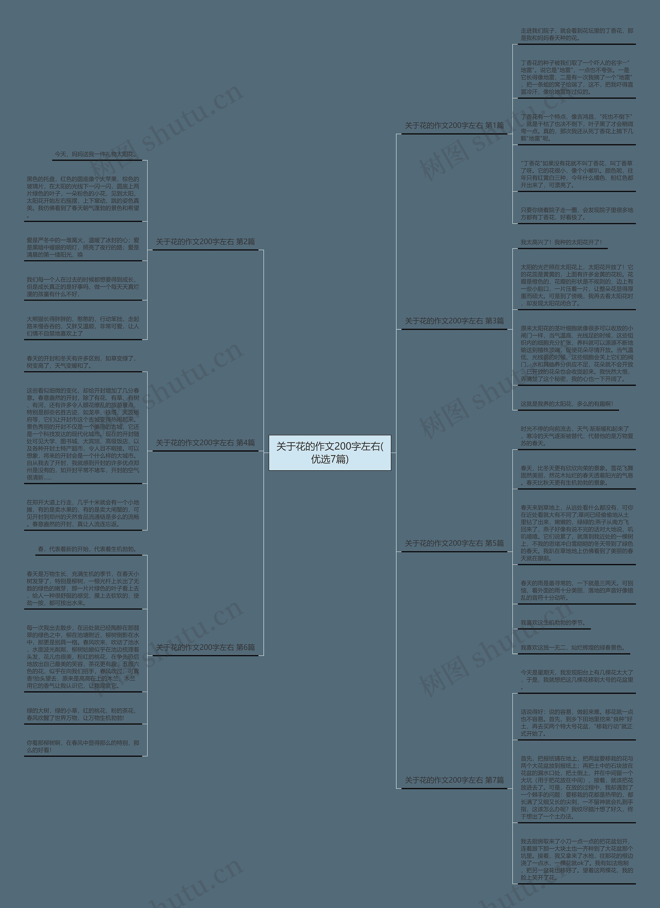 关于花的作文200字左右(优选7篇) 关于花的作文200字左右(优选7篇)