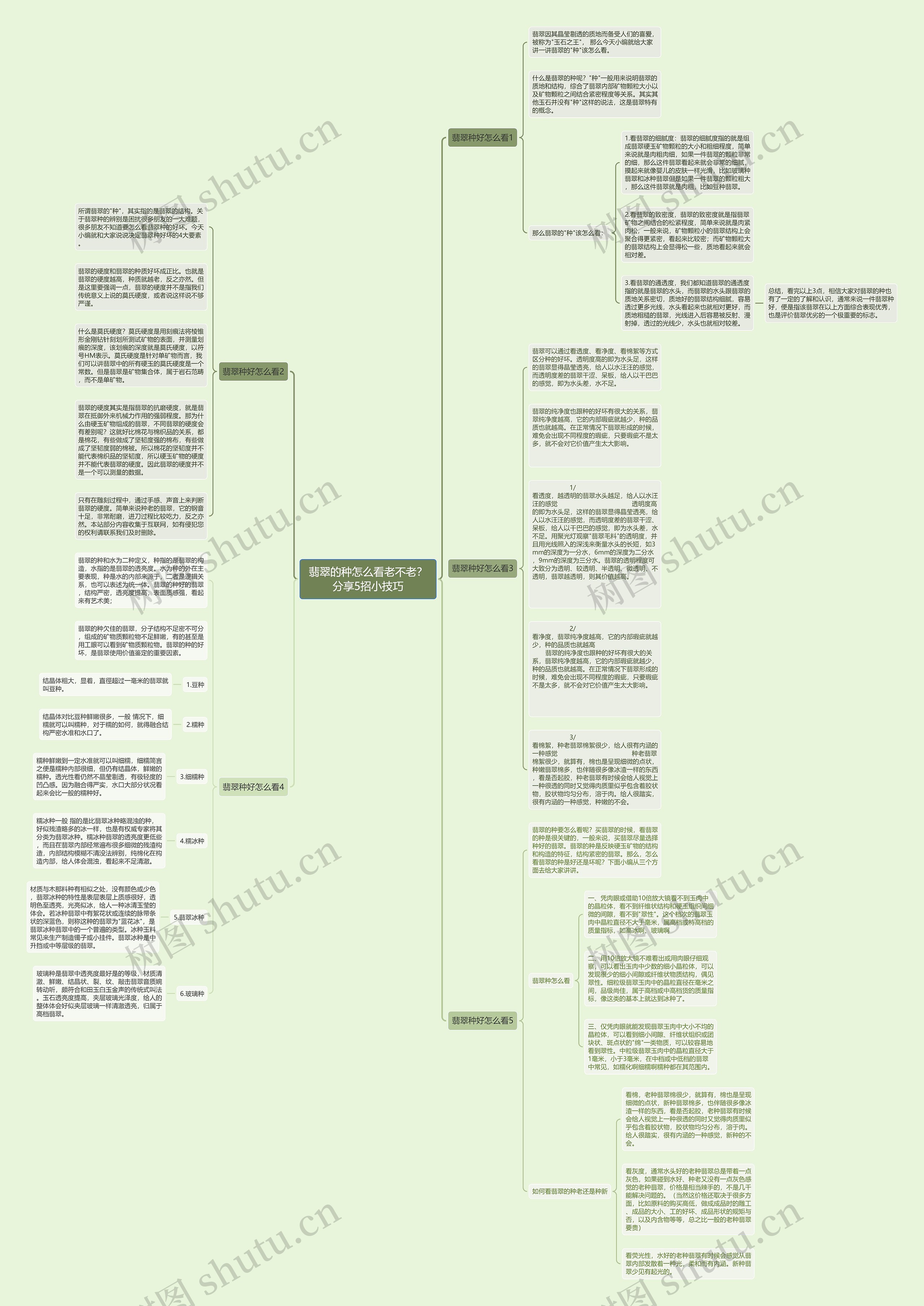 翡翠的种怎么看老不老？分享5招小技巧思维导图