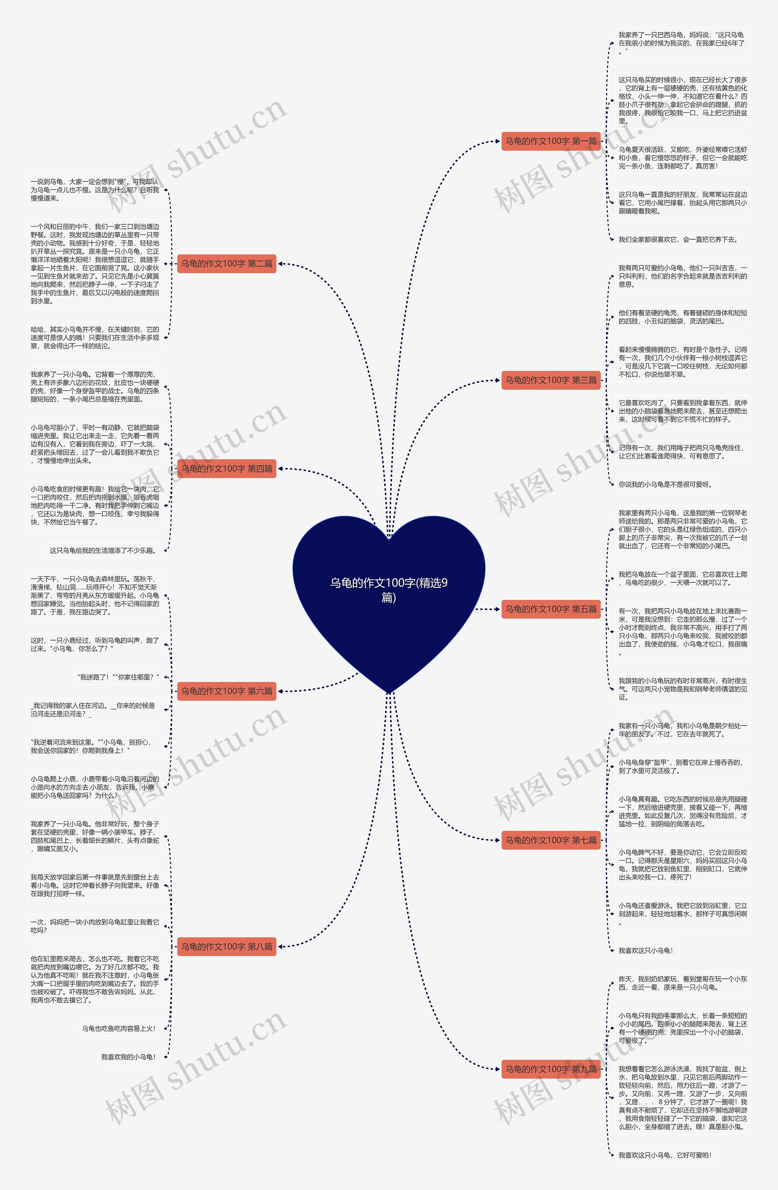 乌龟的作文100字(精选9篇)思维导图