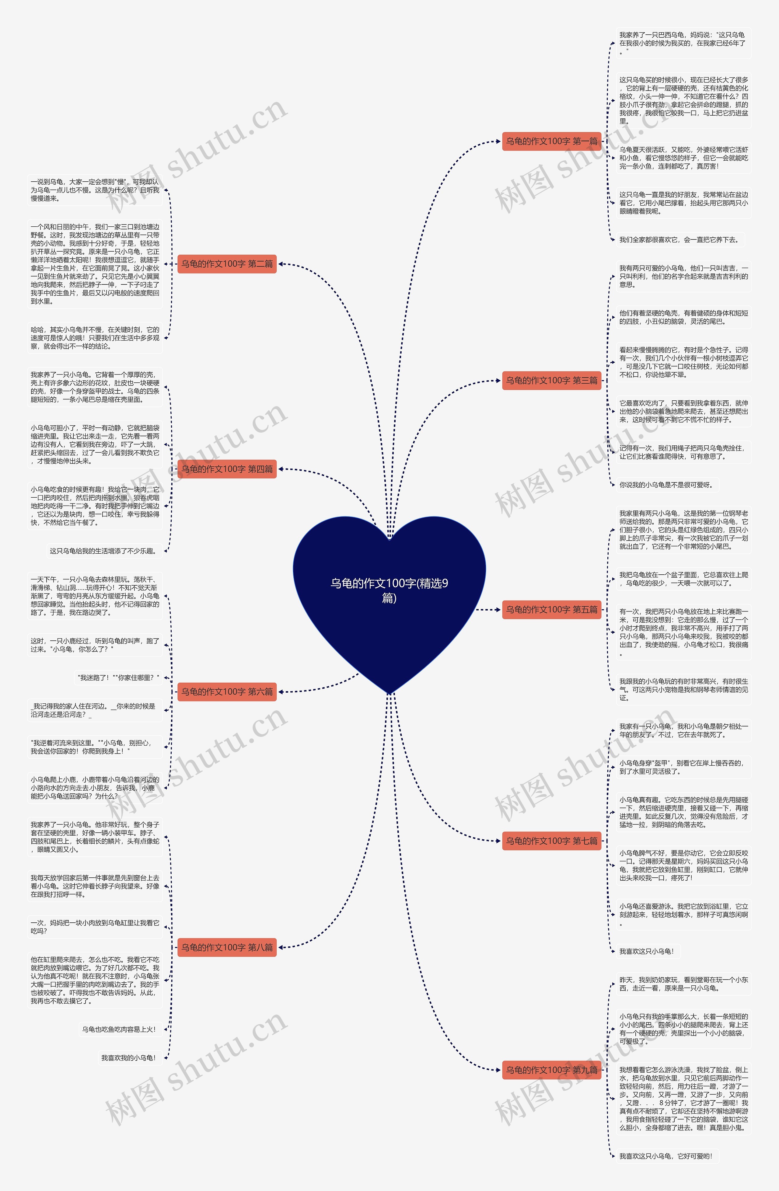 乌龟的作文100字(精选9篇) 乌龟的作文100字(精选9篇)