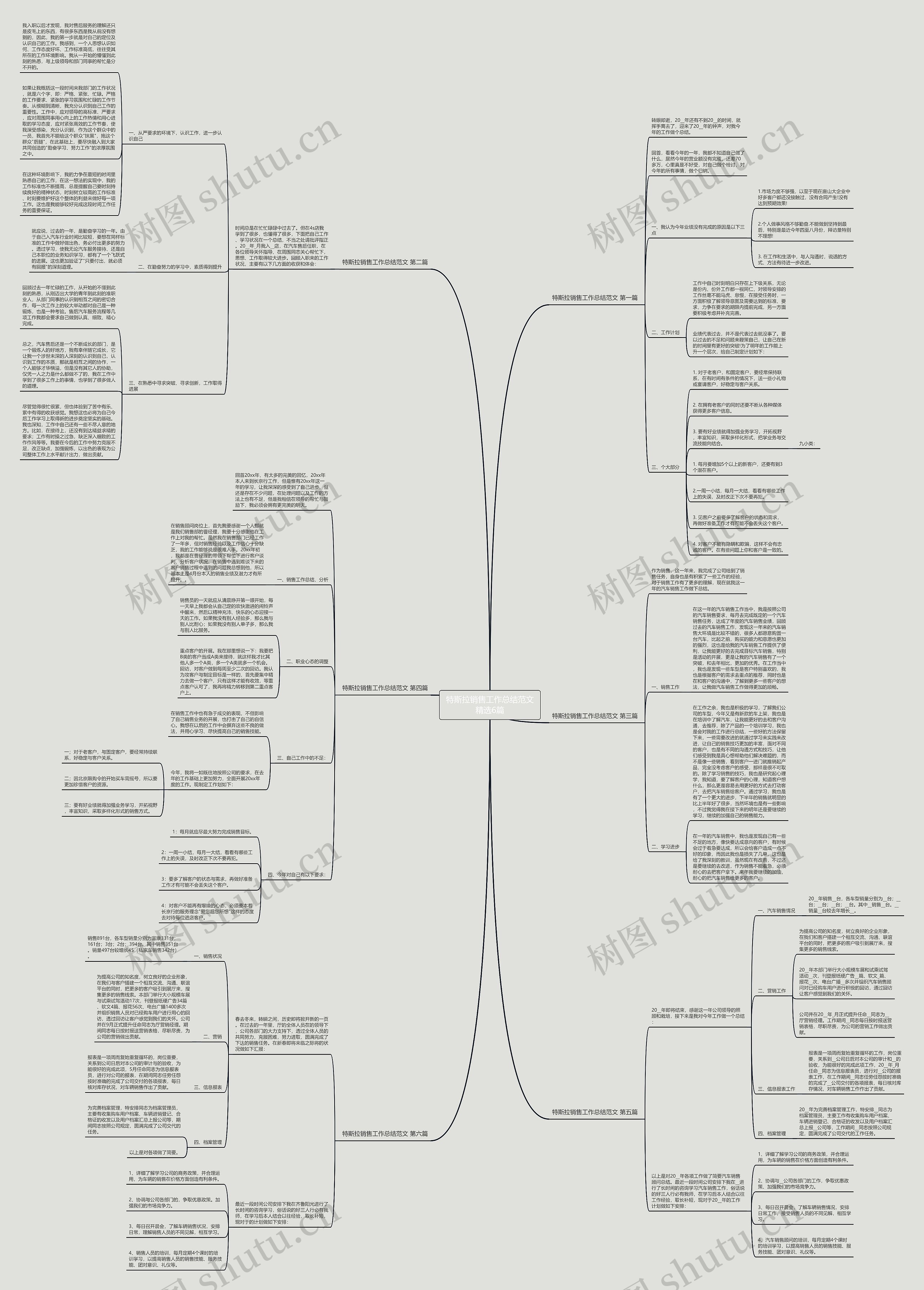 特斯拉销售工作总结范文精选6篇思维导图