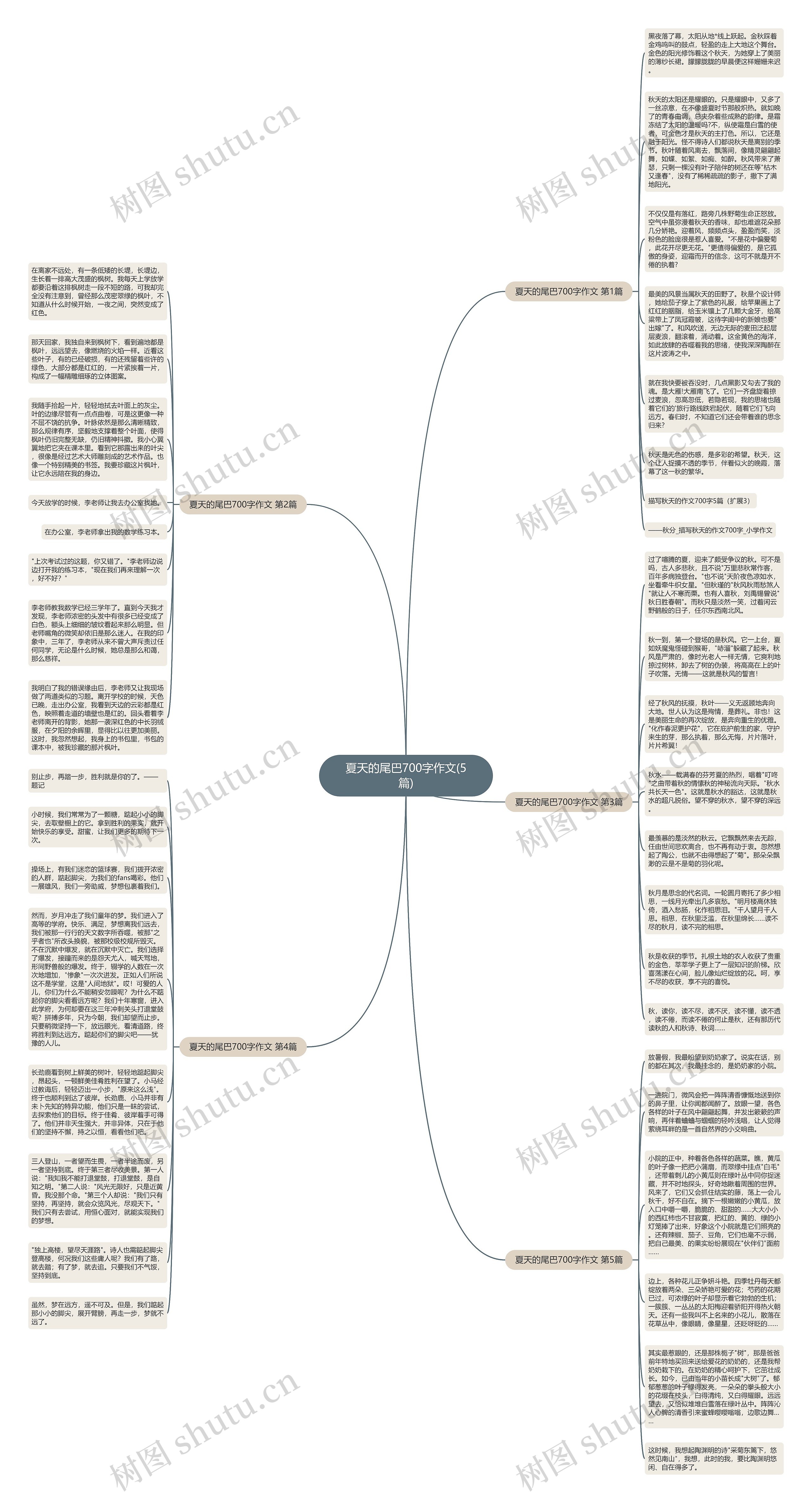 夏天的尾巴700字作文(5篇)思维导图