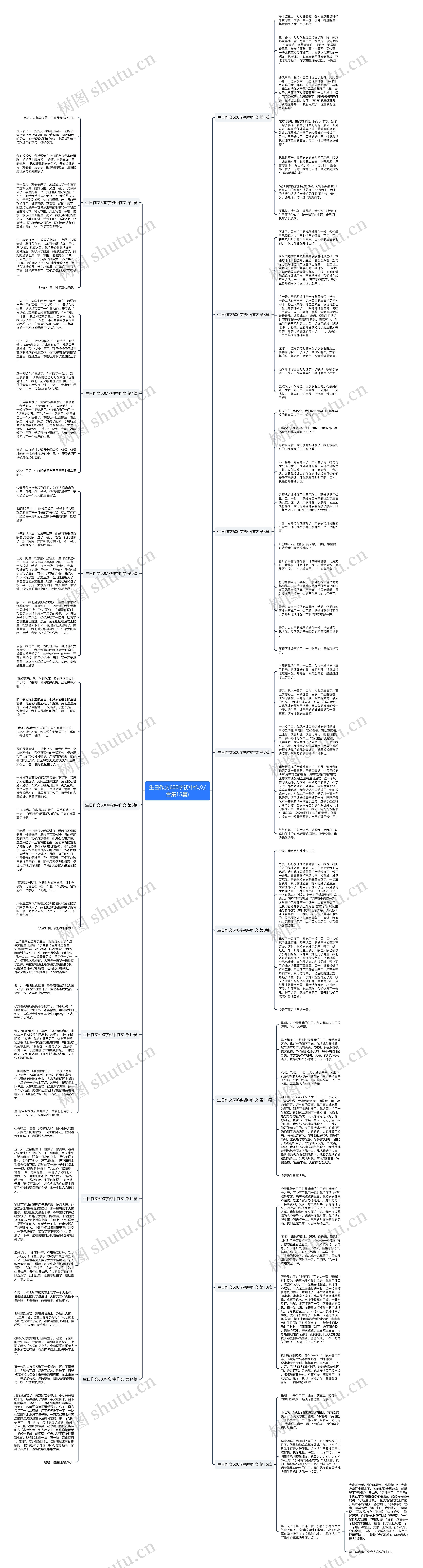 生日作文600字初中作文(合集15篇)思维导图