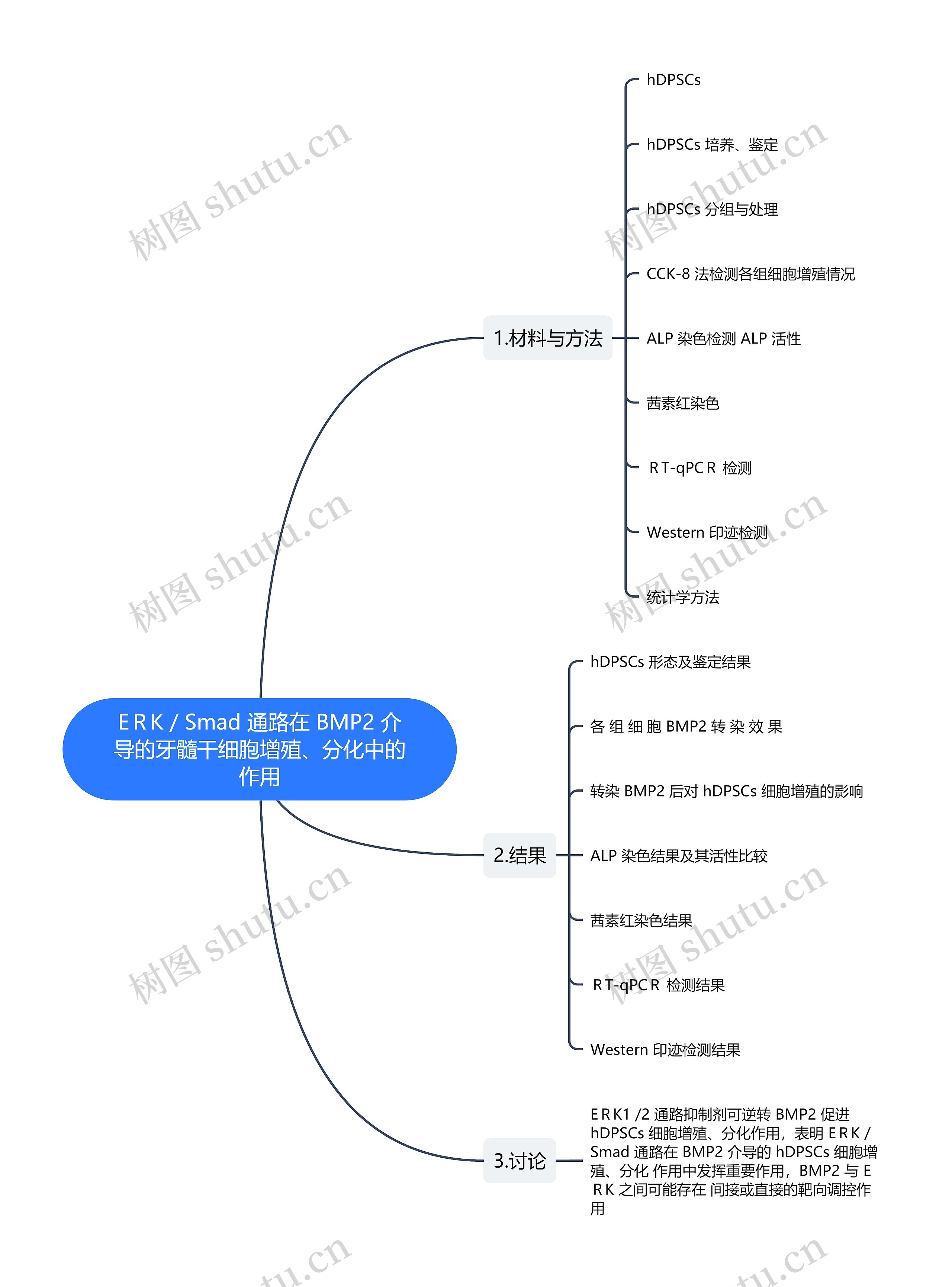 EＲK / Smad 通路在 BMP2 介导的牙髓干细胞增殖、分化中的作用思维导图