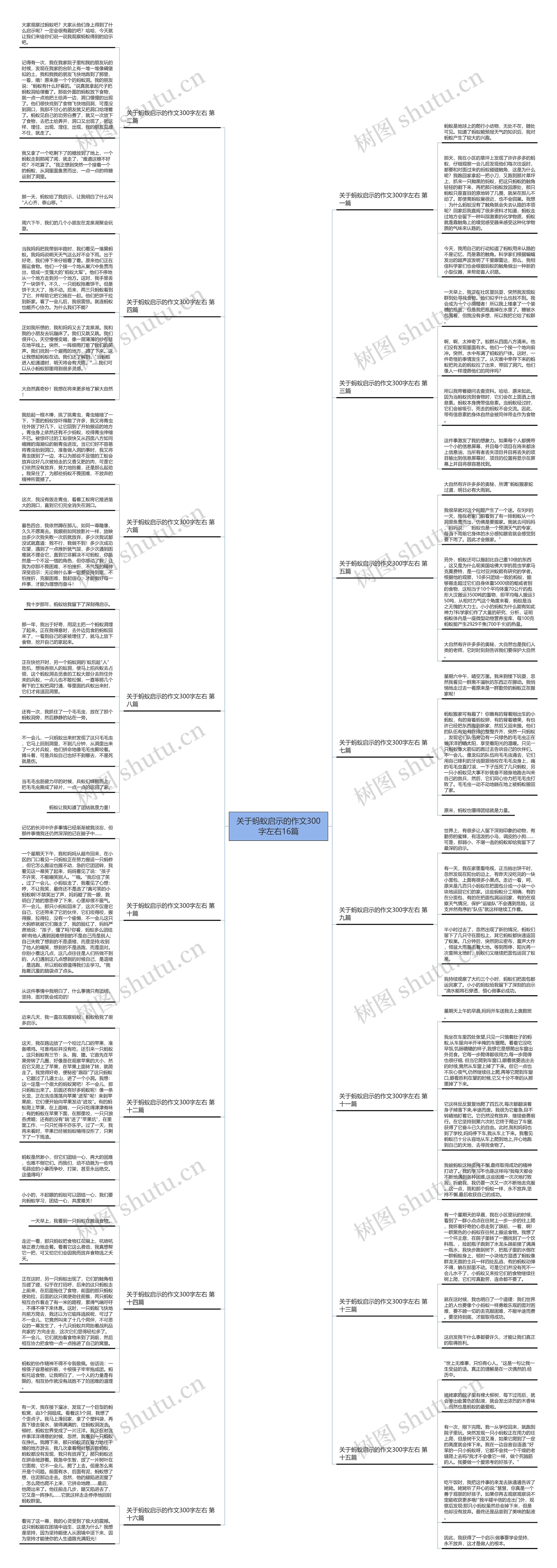 关于蚂蚁启示的作文300字左右16篇思维导图