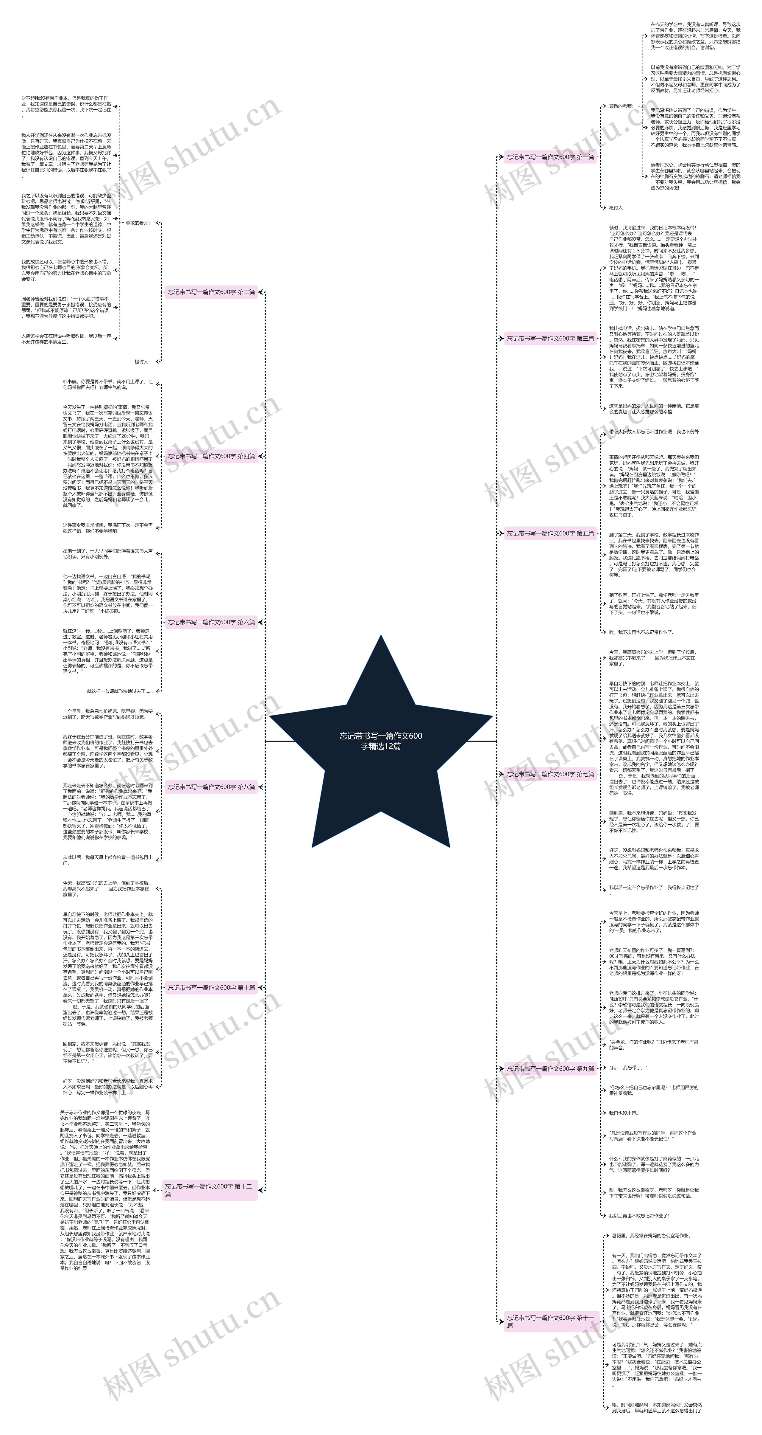 忘记带书写一篇作文600字精选12篇思维导图