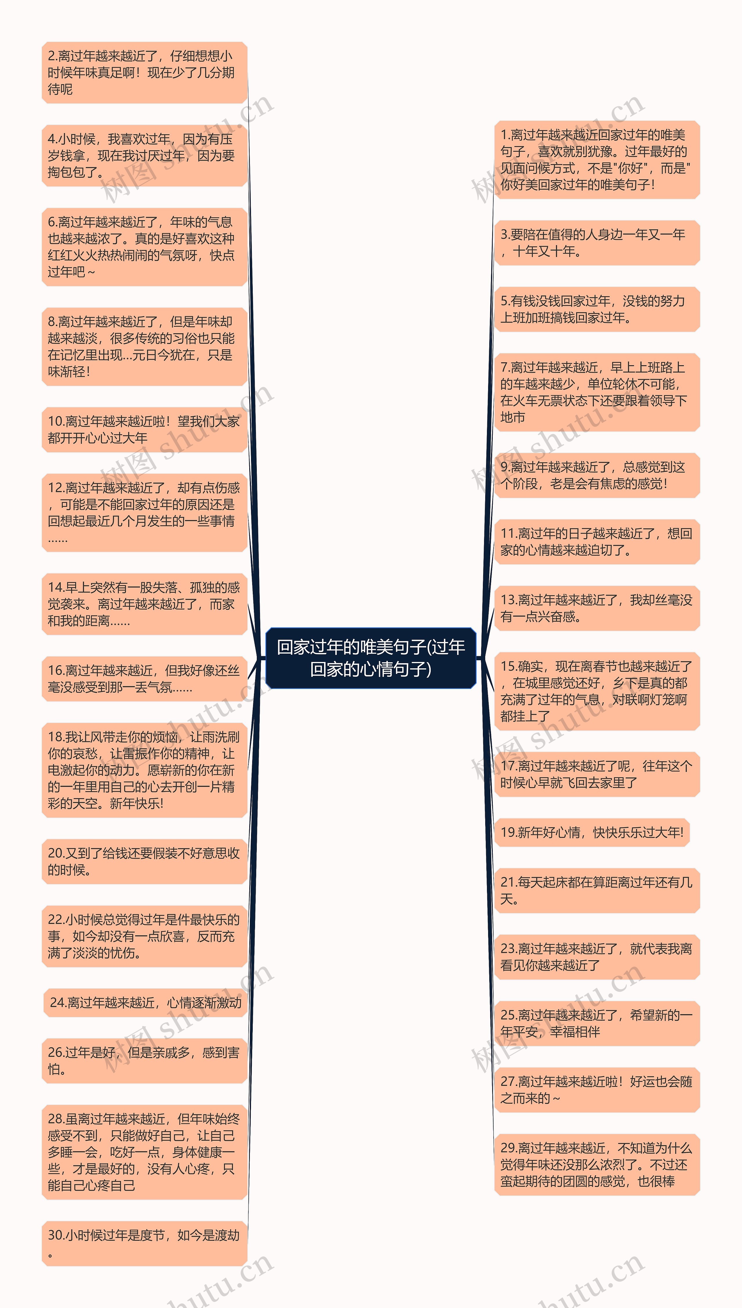 回家过年的唯美句子(过年回家的心情句子)思维导图