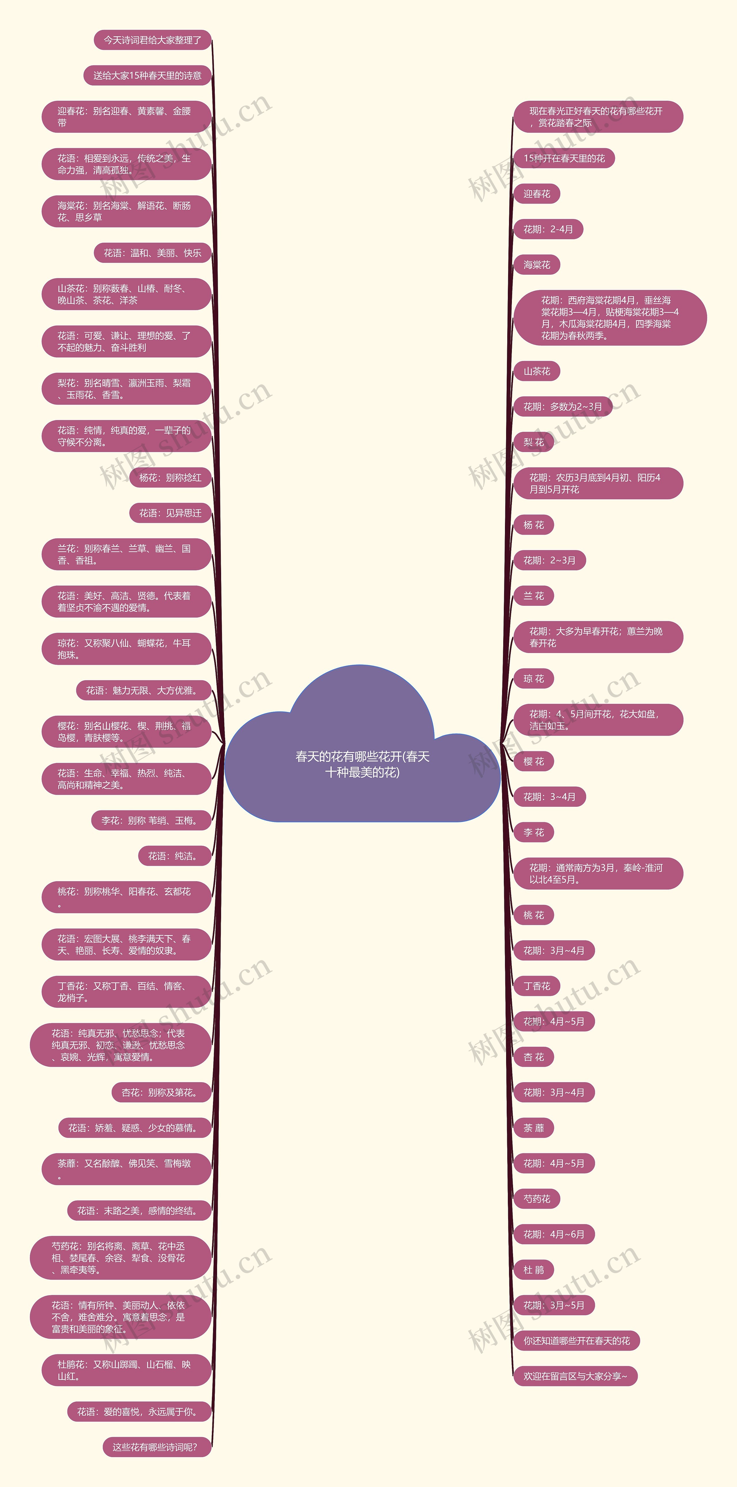 春天的花有哪些花开(春天十种最美的花)思维导图