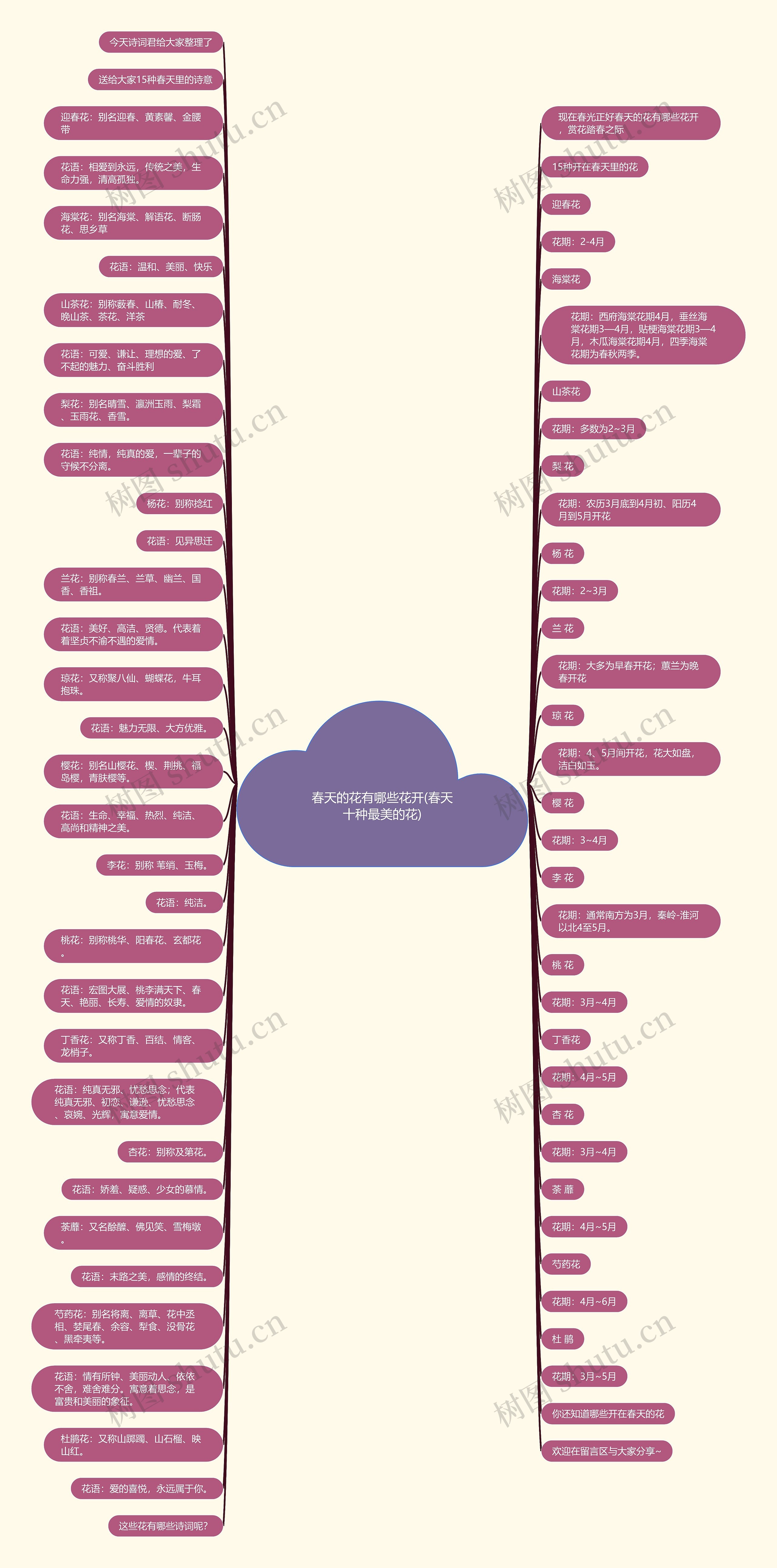 春天的花有哪些花开(春天十种最美的花) 春天的花有哪些花开(春天十种最美的花)