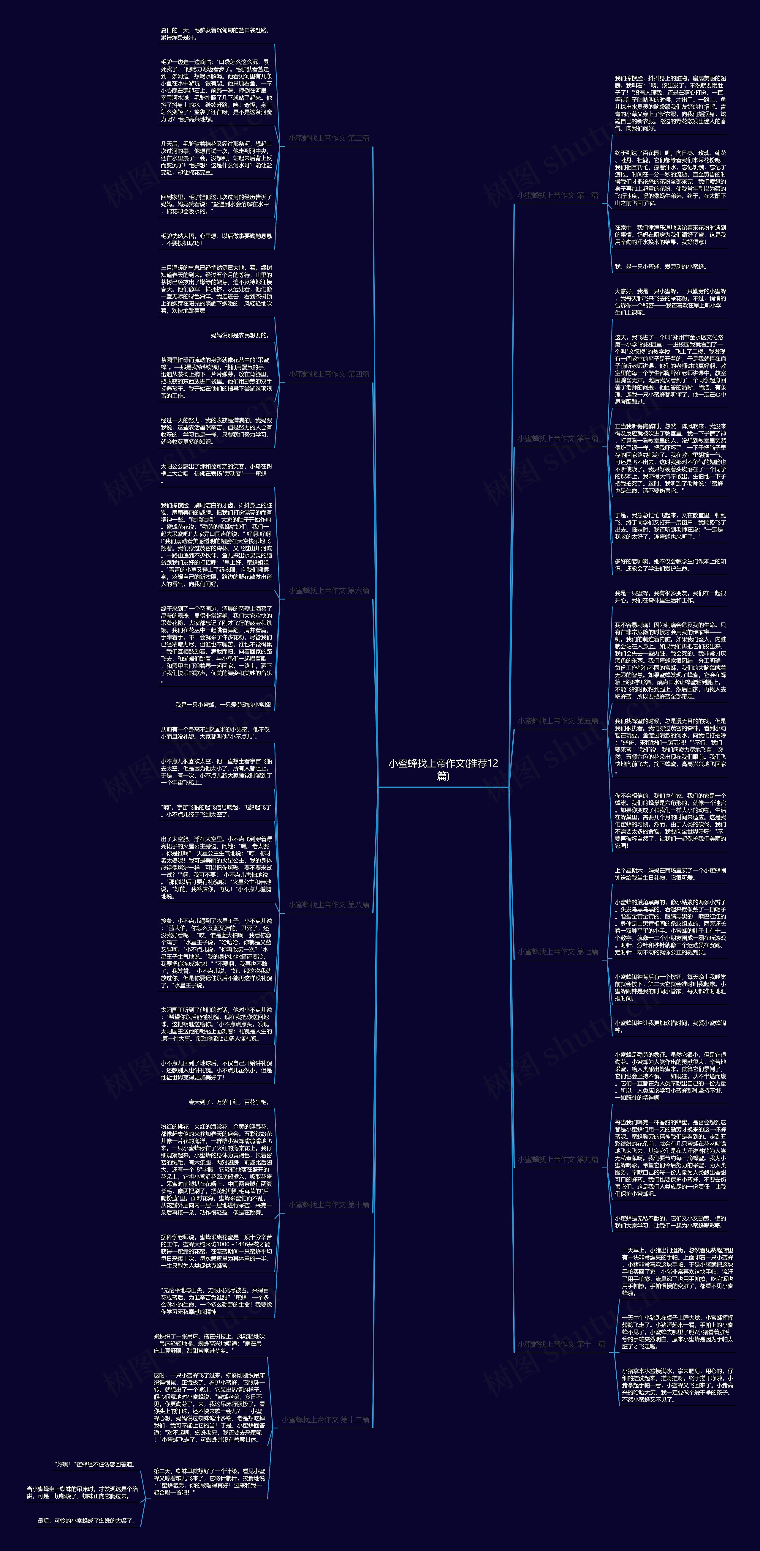 小蜜蜂找上帝作文(推荐12篇)思维导图