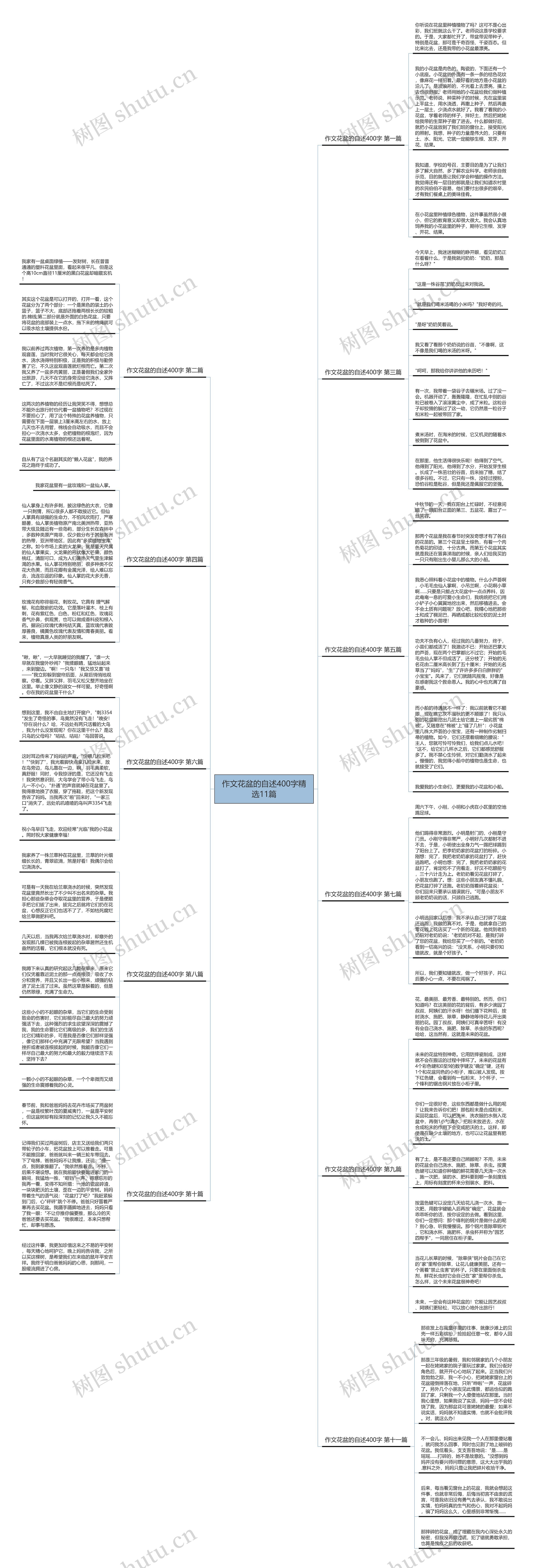 作文花盆的自述400字精选11篇思维导图