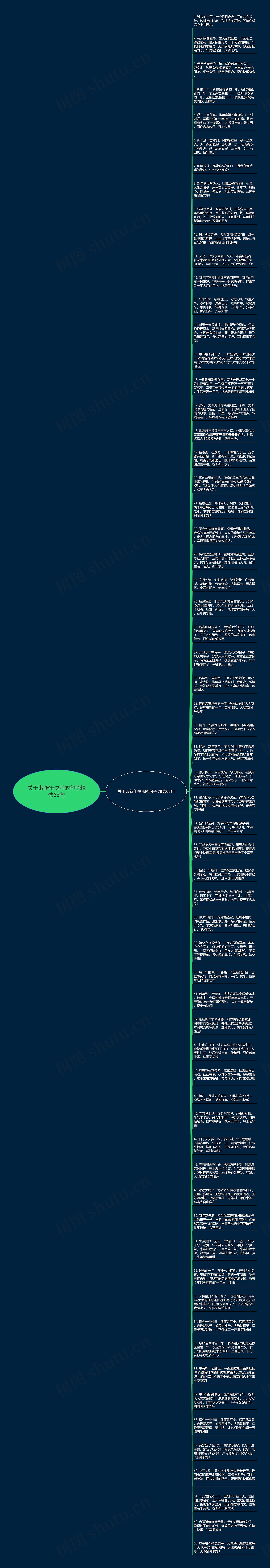 关于淑新年快乐的句子精选63句