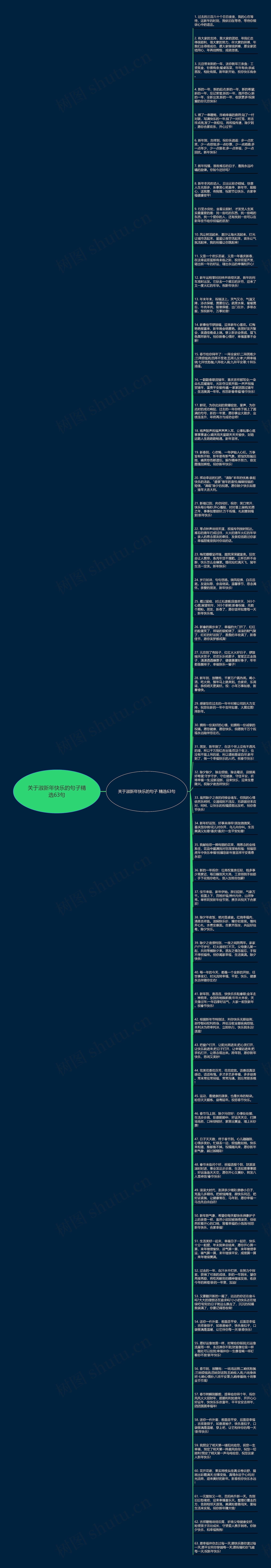 关于淑新年快乐的句子精选63句思维导图