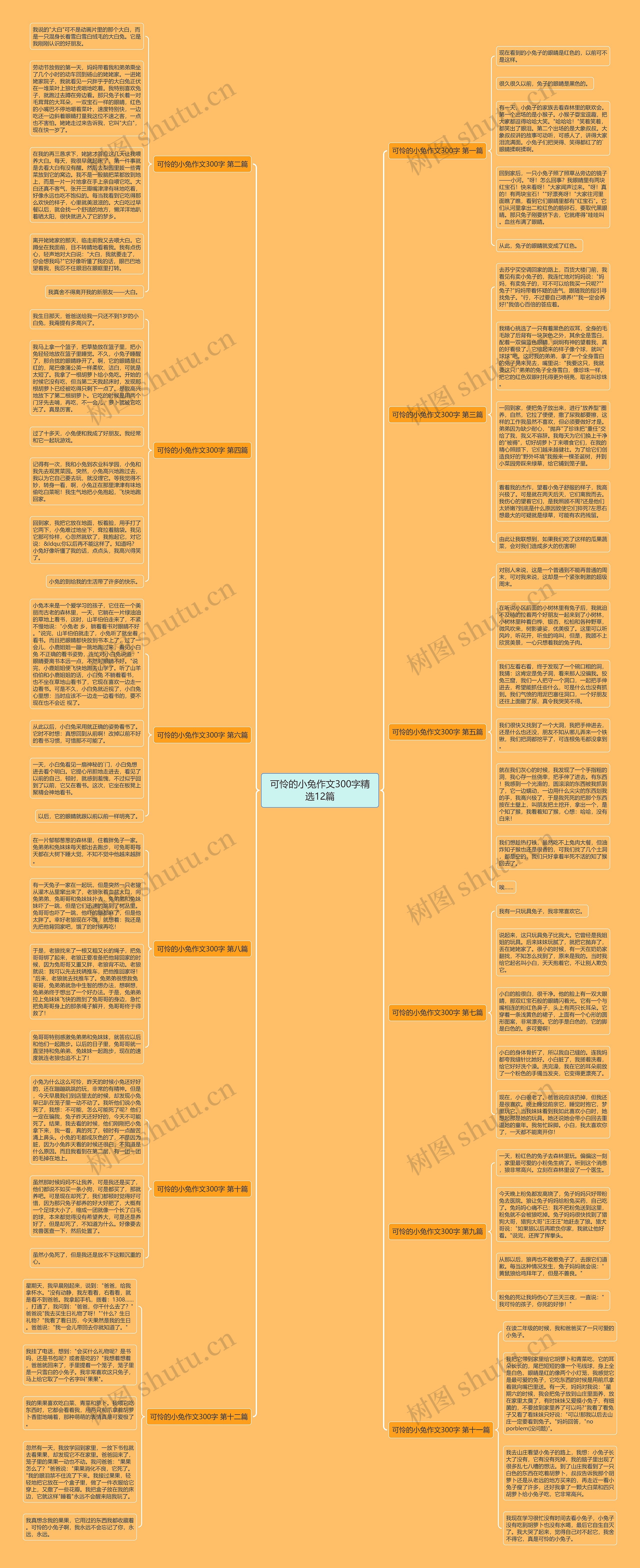 可怜的小兔作文300字精选12篇思维导图