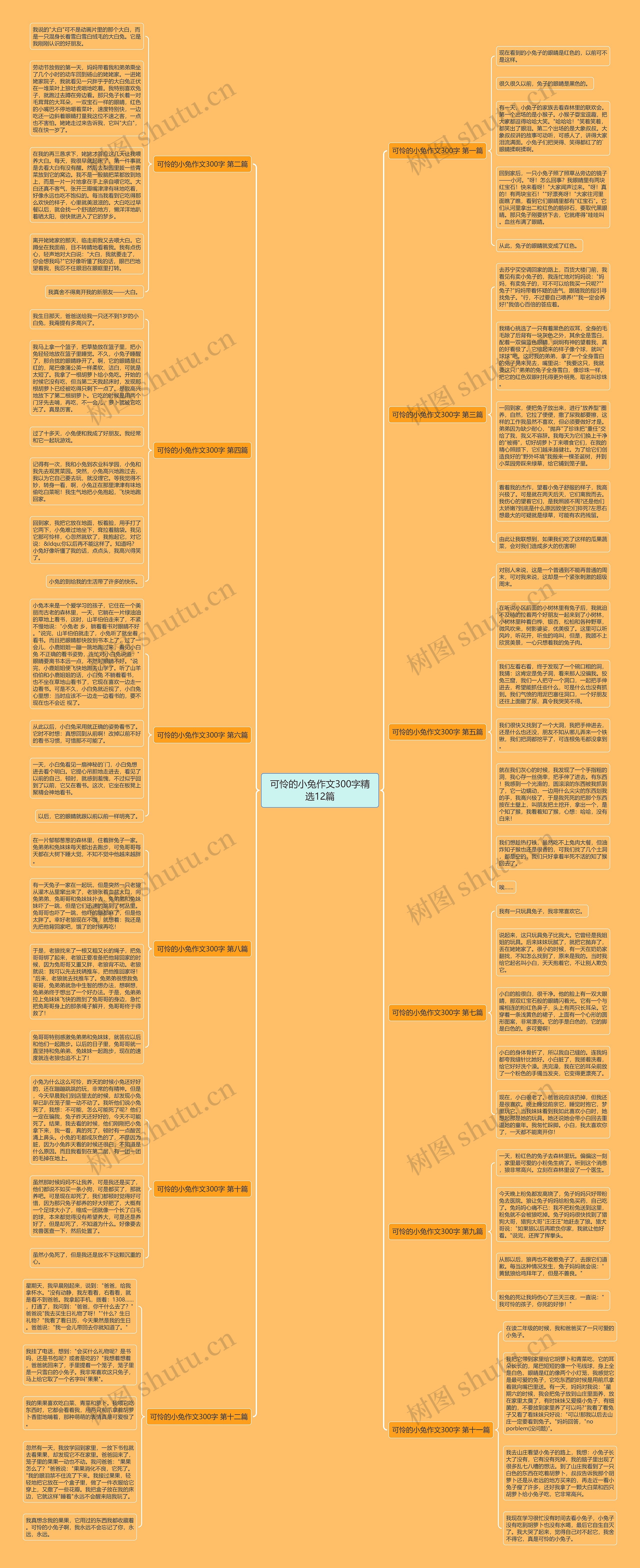 可怜的小兔作文300字精选12篇 可怜的小兔作文300字精选12篇