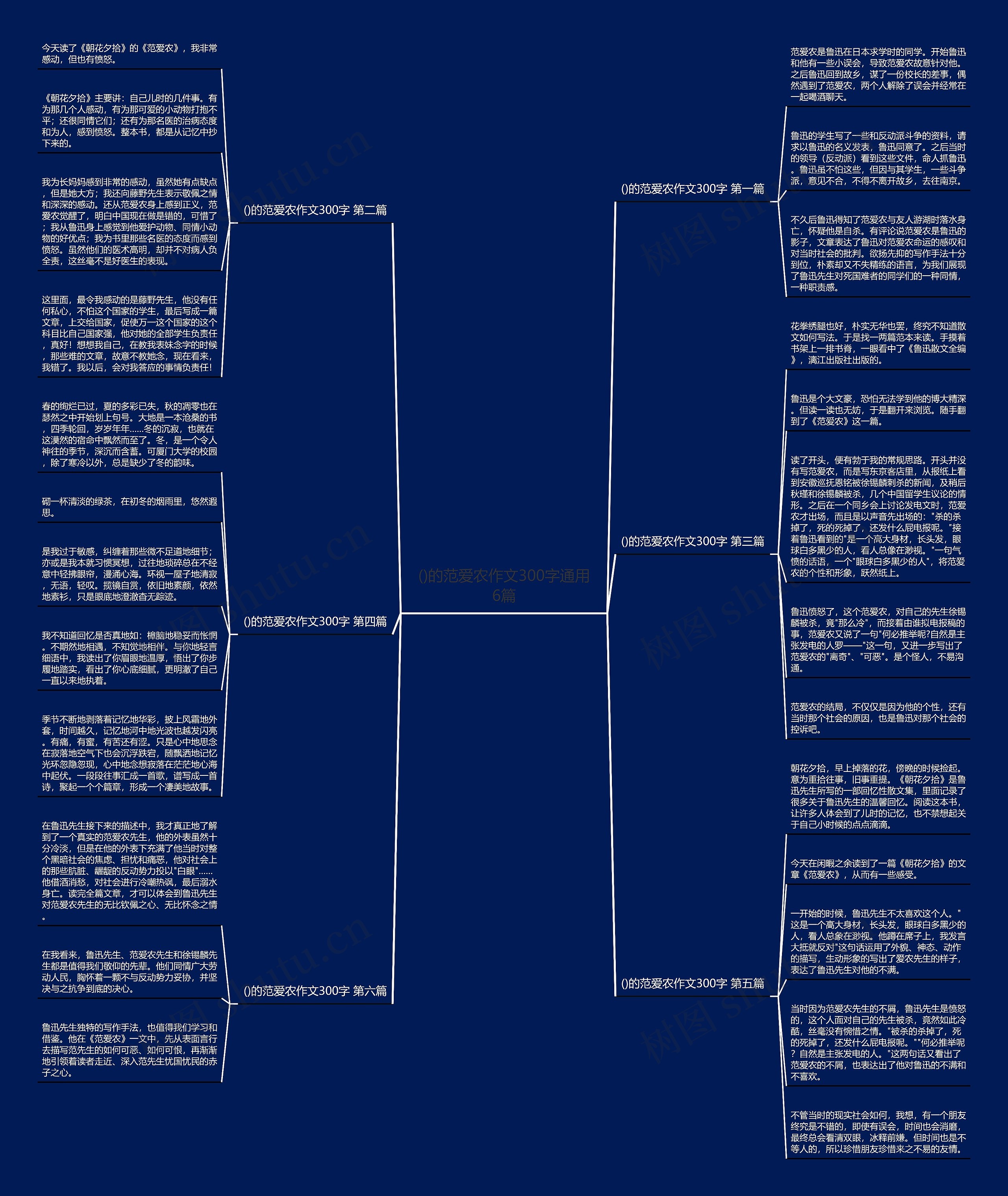 ()的范爱农作文300字通用6篇思维导图