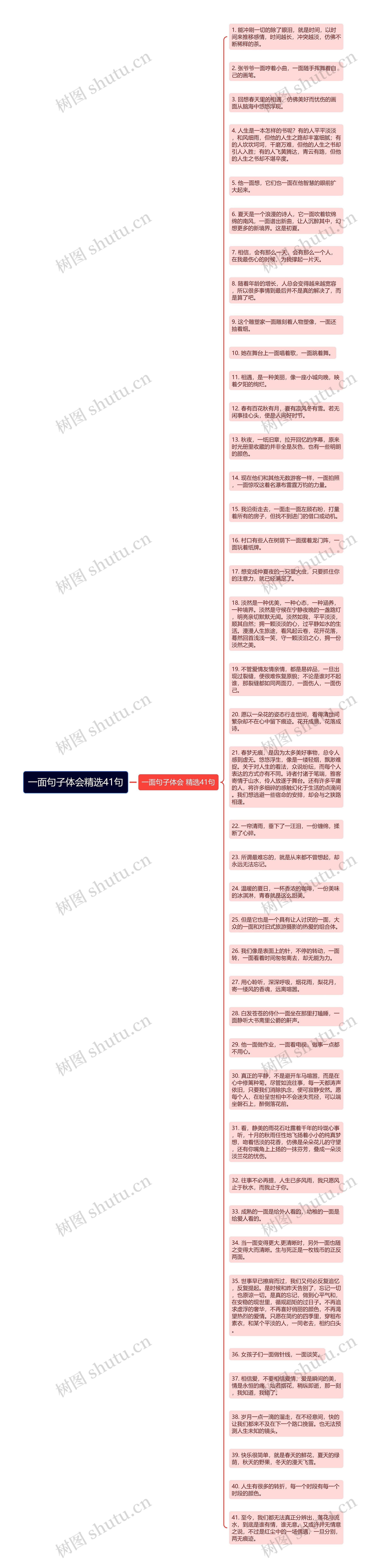 一面句子体会精选41句思维导图