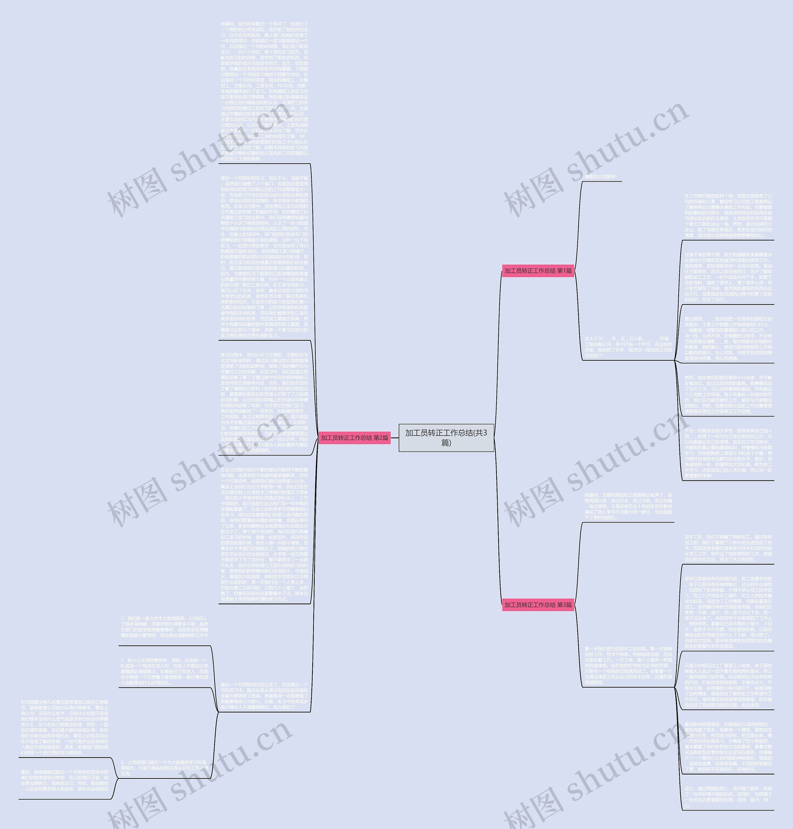 加工员转正工作总结(共3篇)思维导图