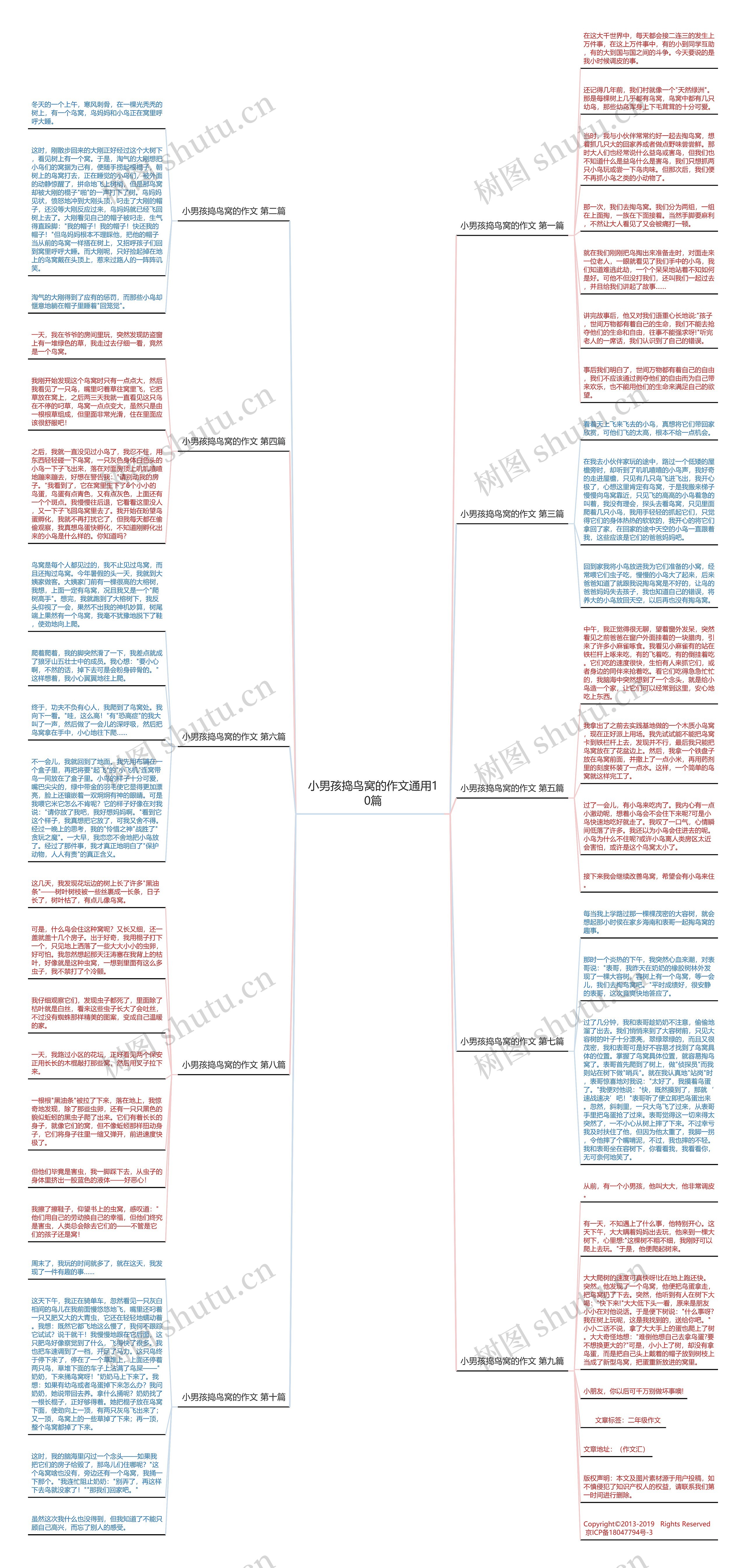 小男孩捣鸟窝的作文通用10篇思维导图