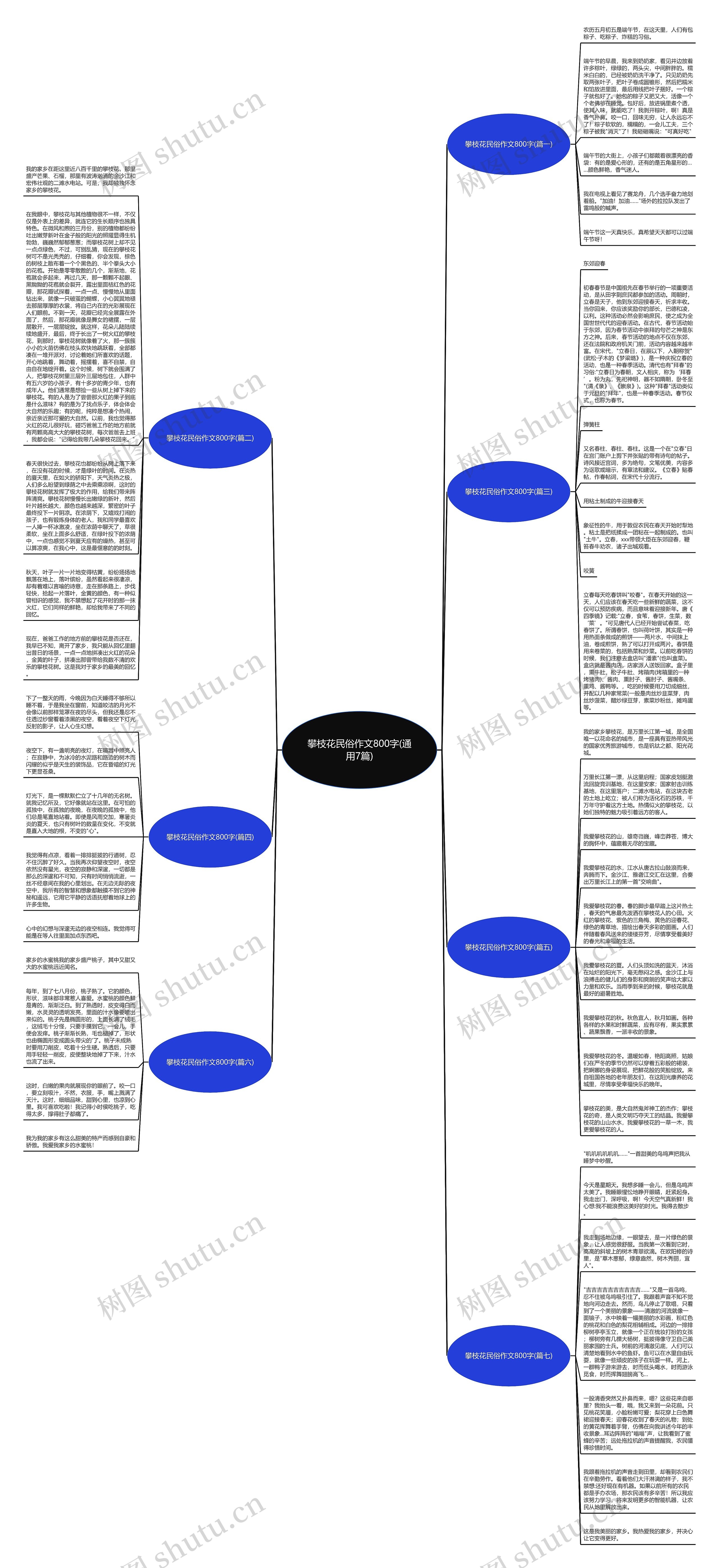攀枝花民俗作文800字(通用7篇)思维导图